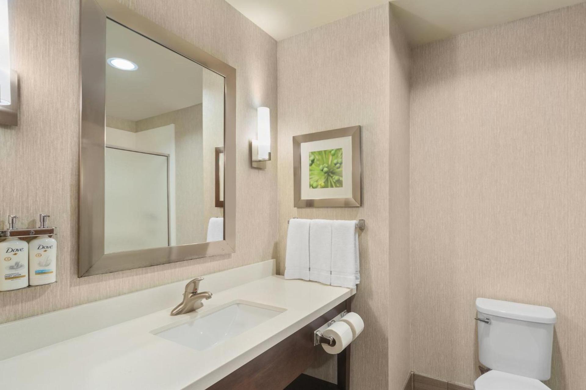 Holiday Inn Express Tomball by IHG photo 65
