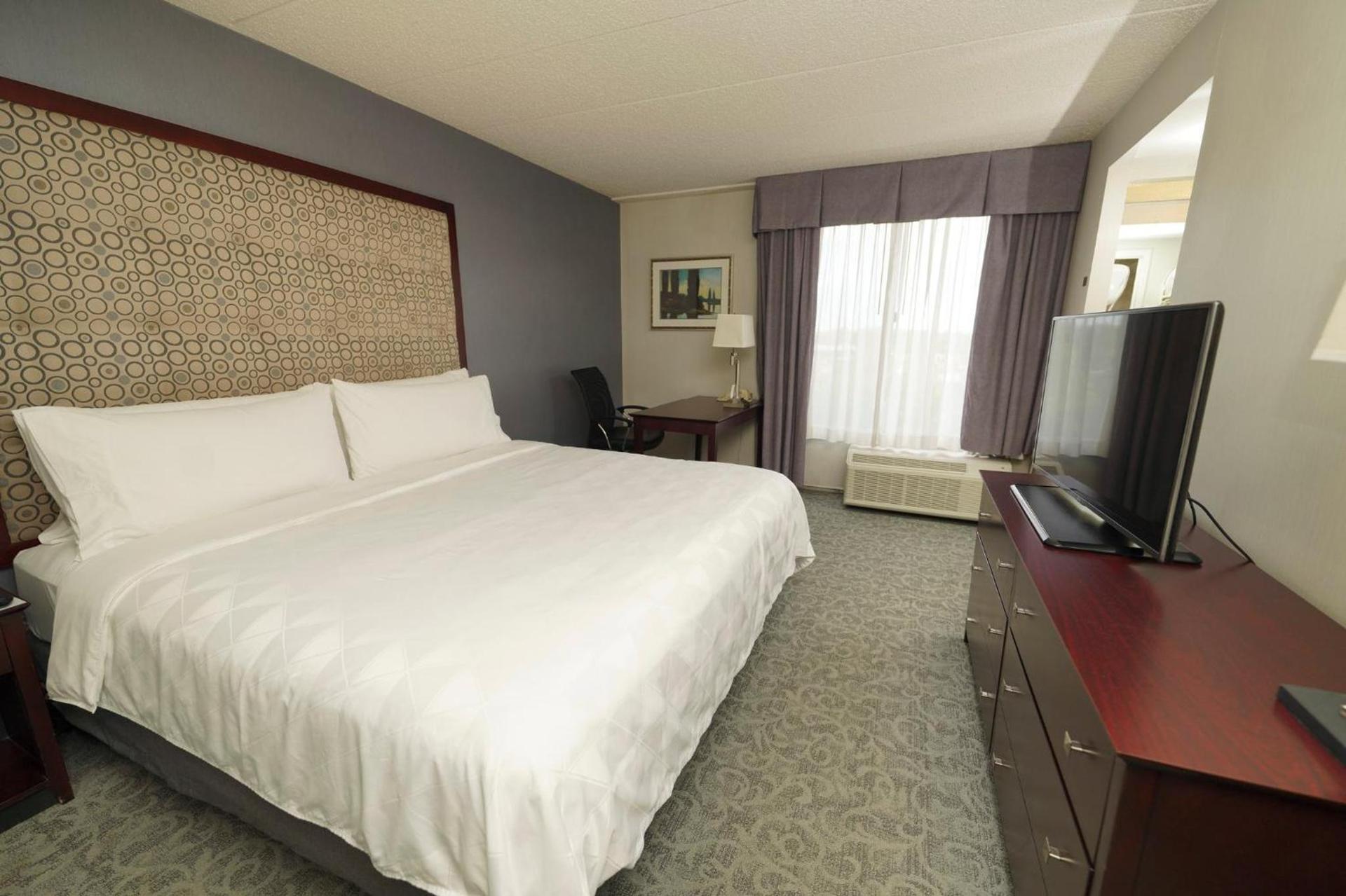 Holiday Inn & Suites Chicago-Carol Stream Wheaton by IHG photo 37