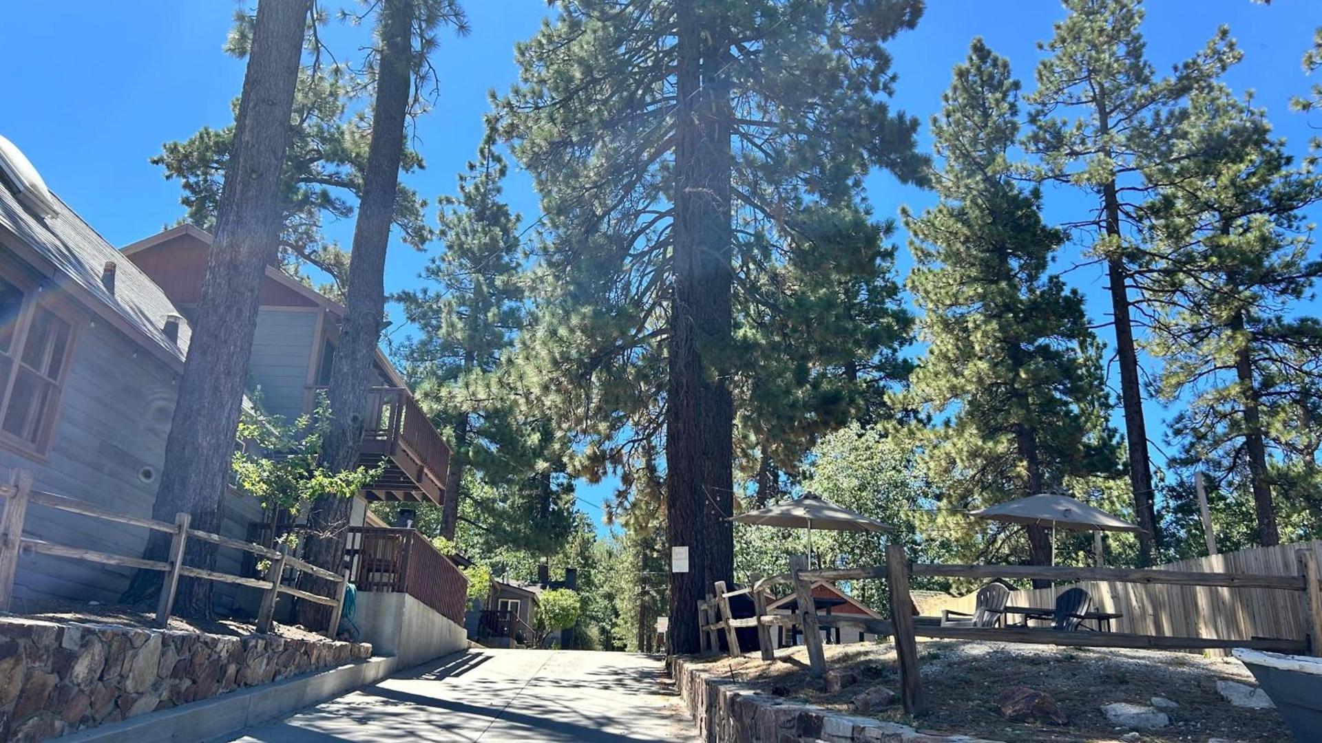 Fox n Bear Cottages Big Bear photo 8