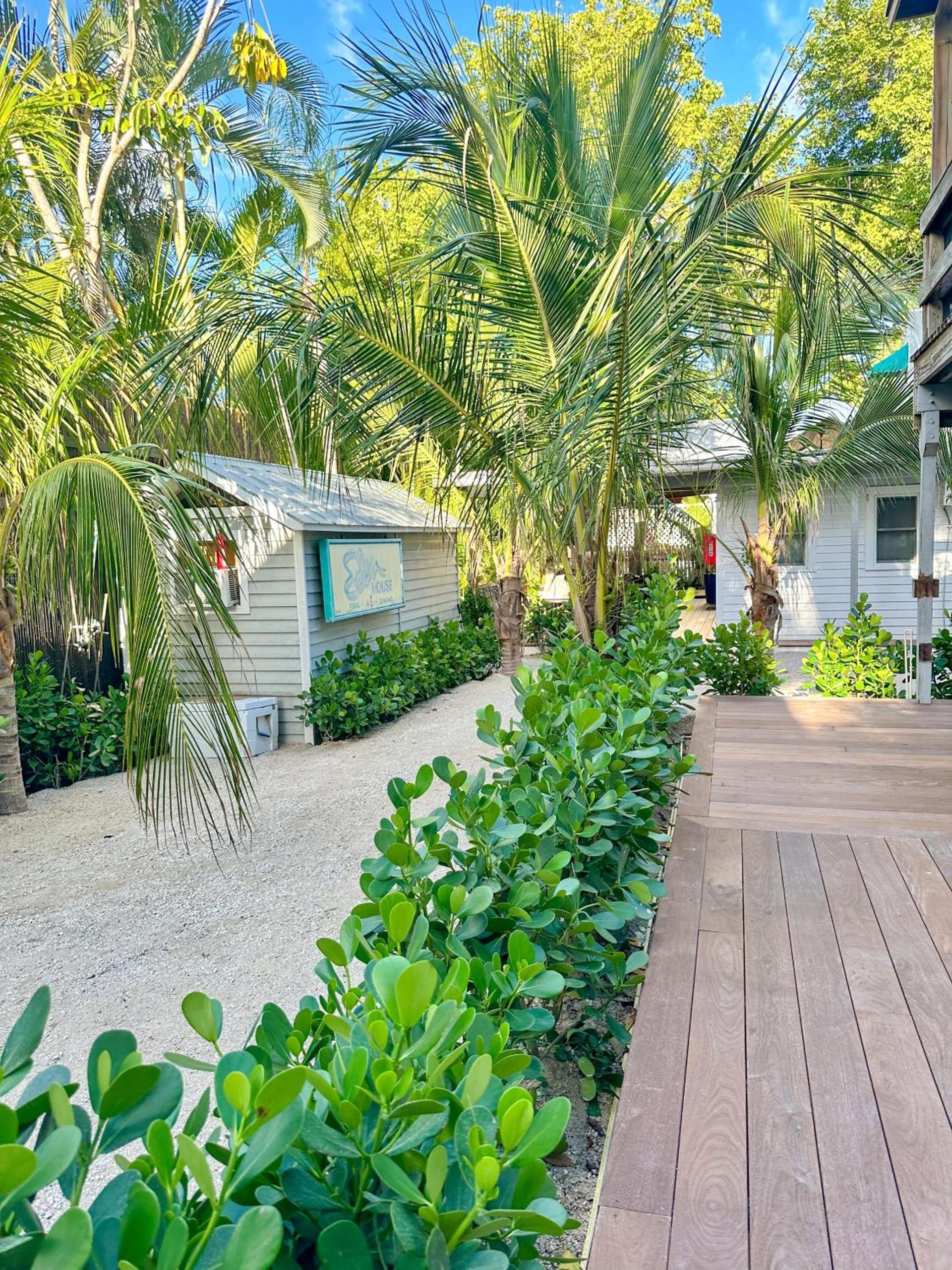 Eden House photo 71