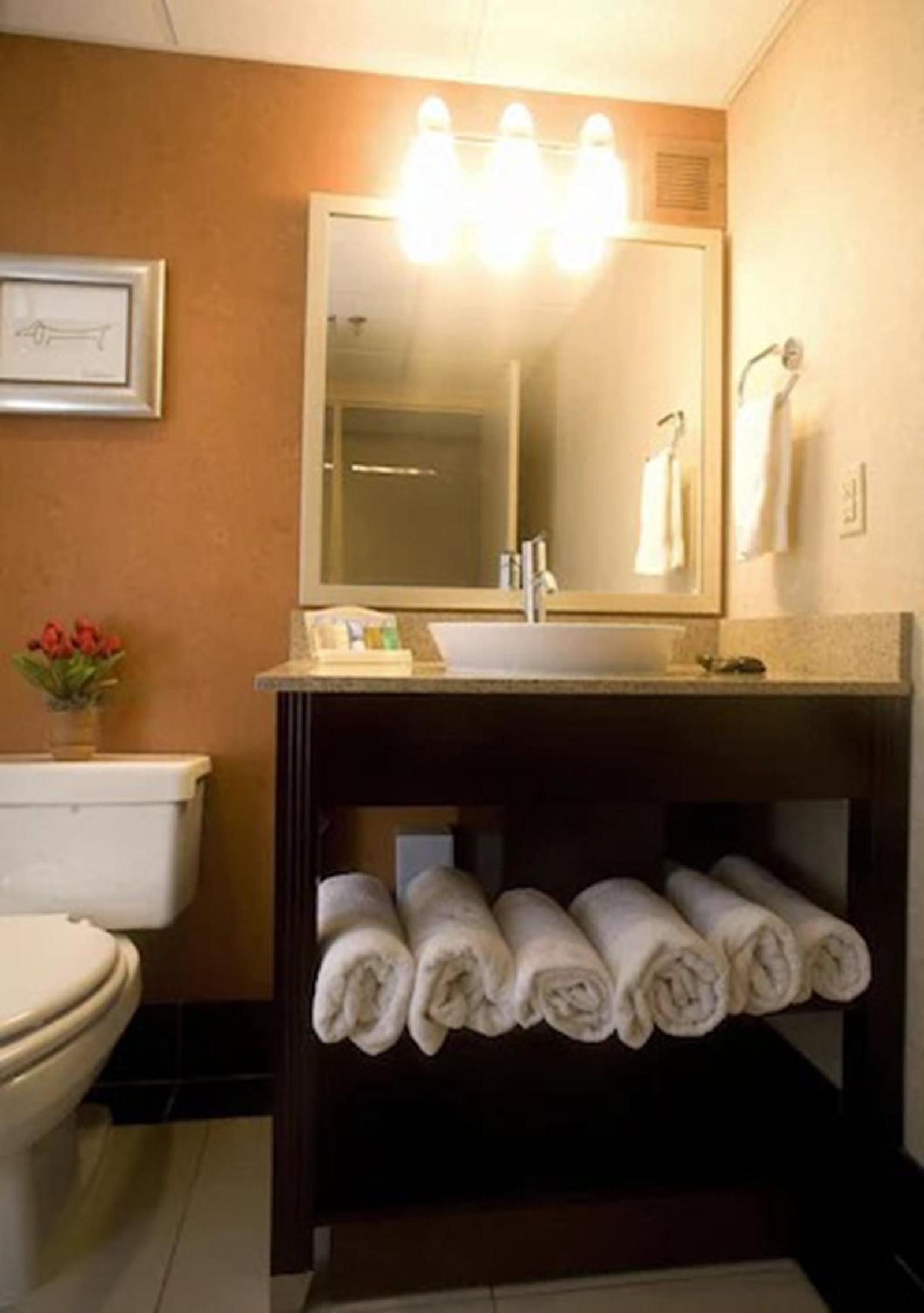DoubleTree by Hilton Springfield photo 35