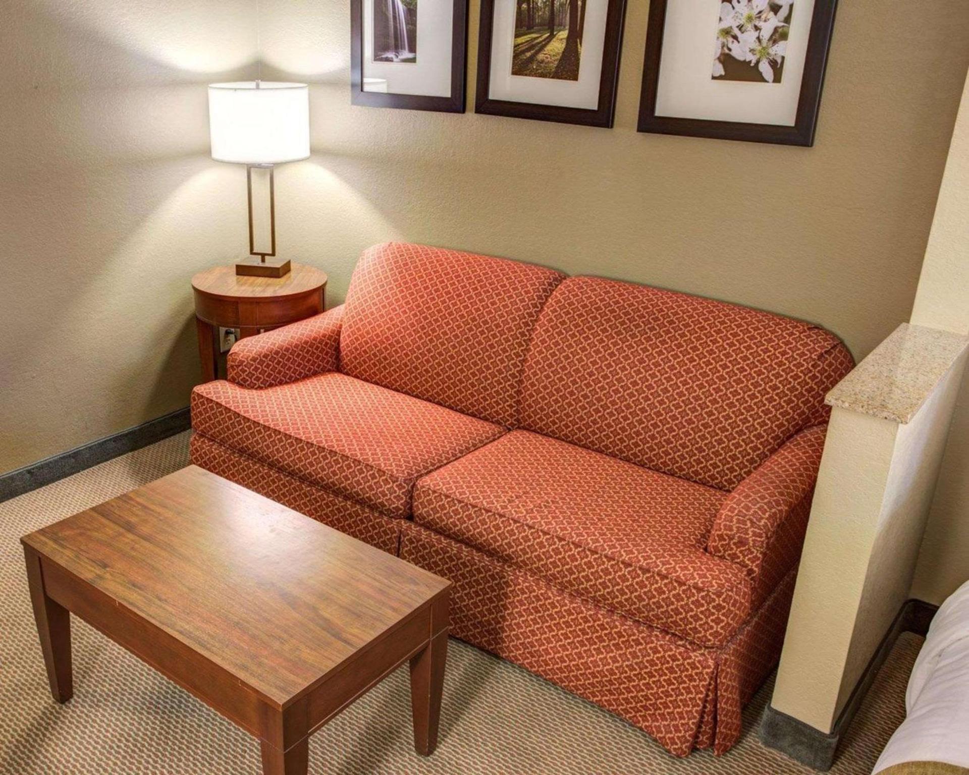 Comfort Suites Gadsden Attalla photo 9