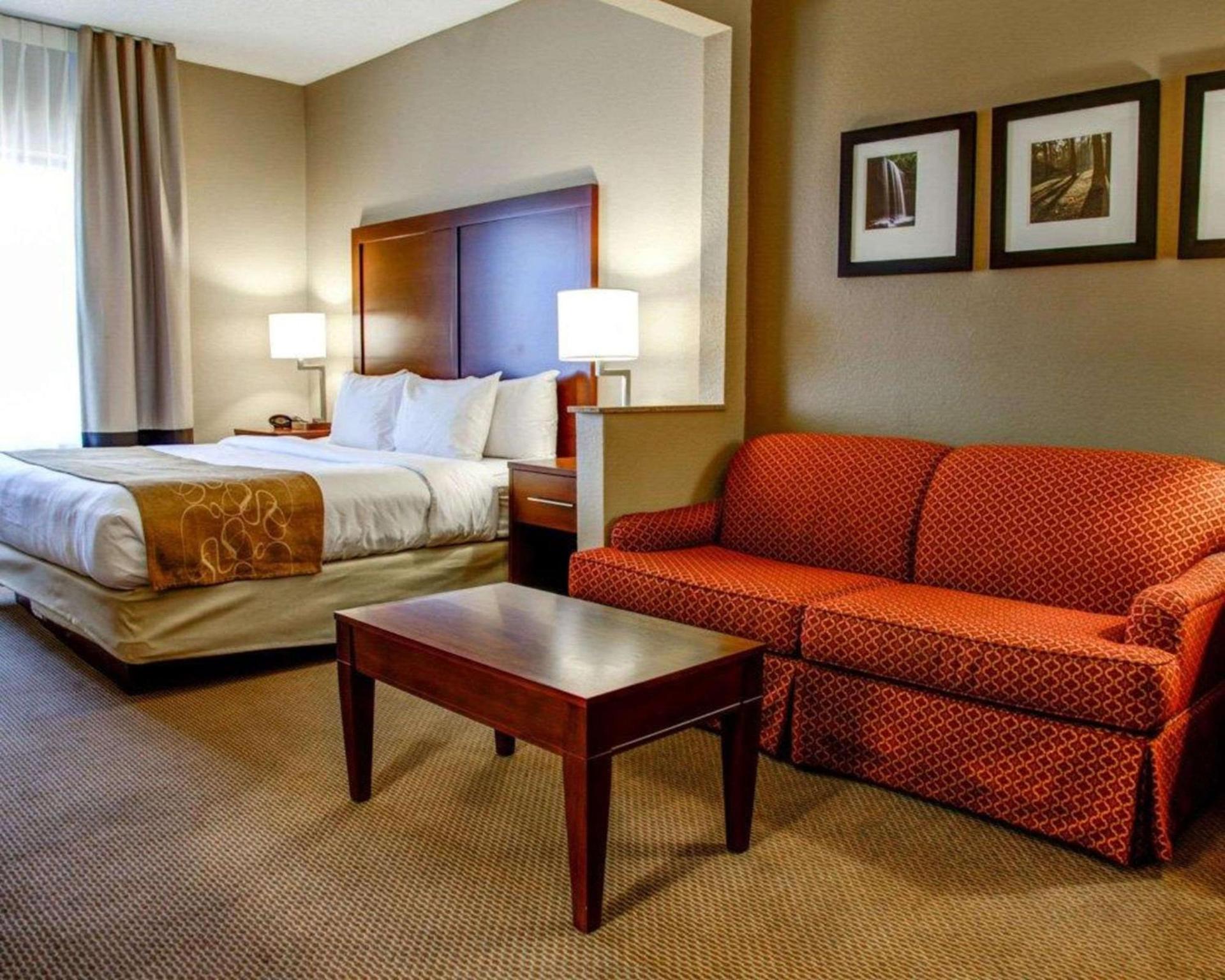 Comfort Suites Gadsden Attalla photo 13