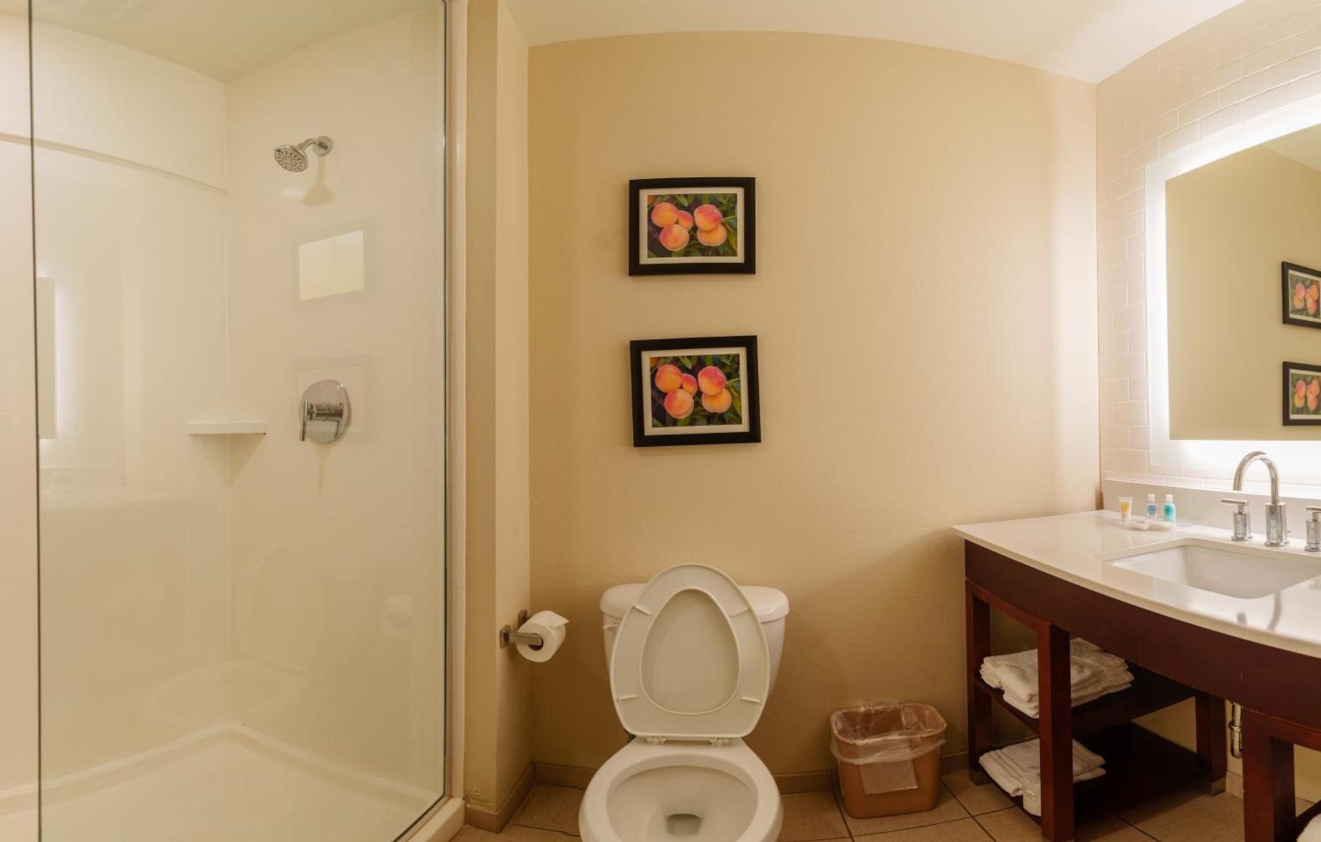 Comfort Suites Newnan photo 28