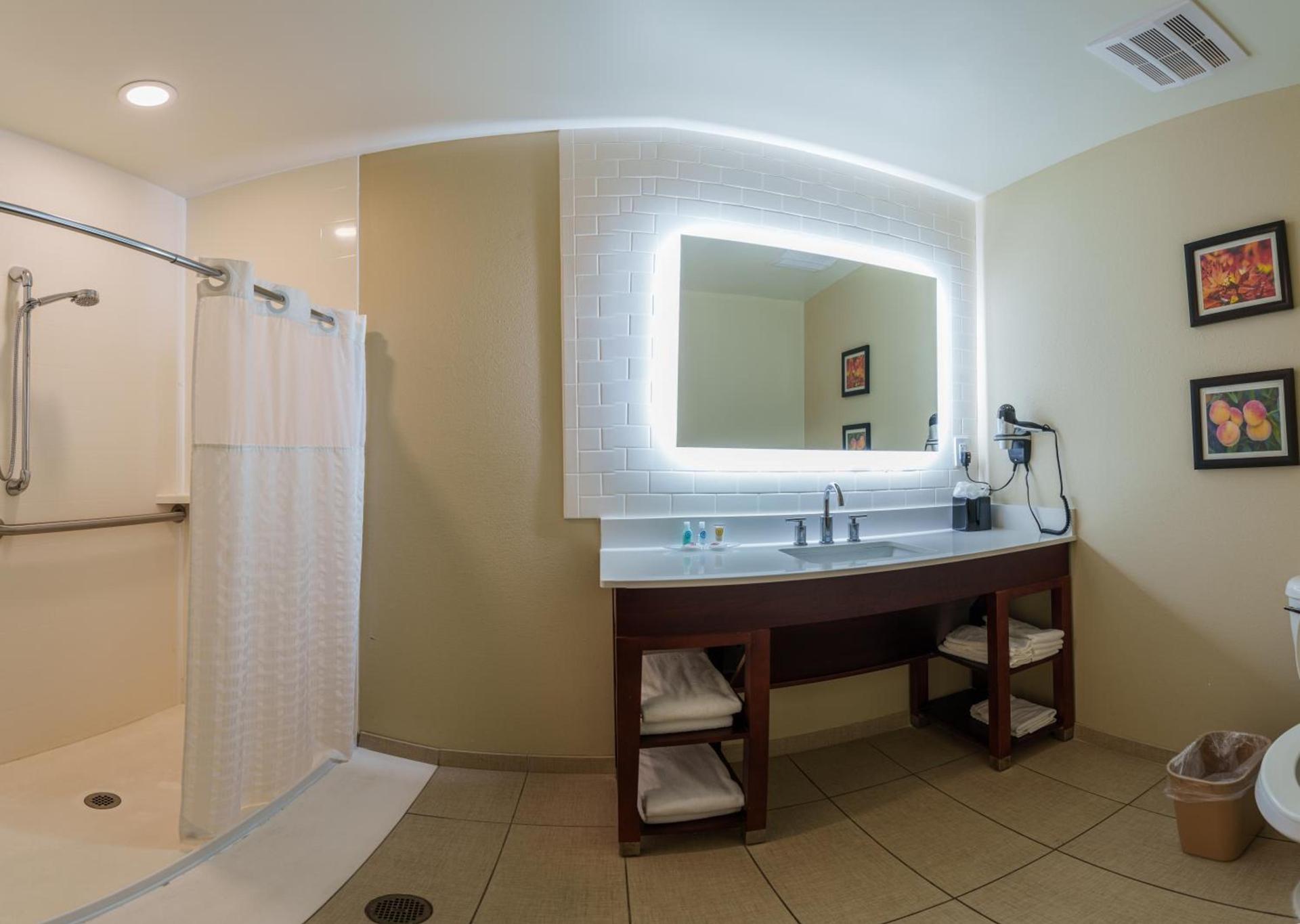 Comfort Suites Newnan photo 29