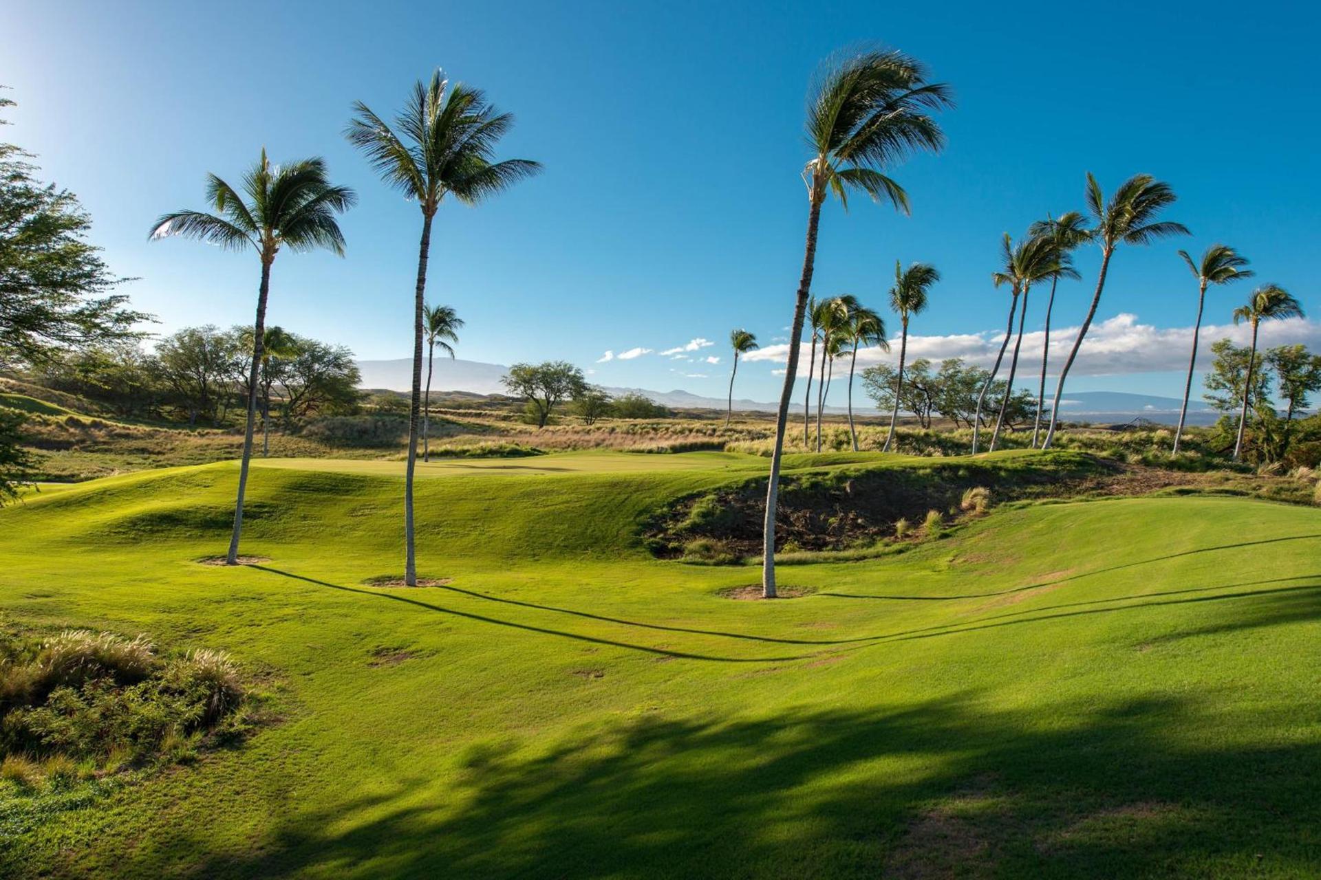 The Westin Hapuna Beach Resort photo 7
