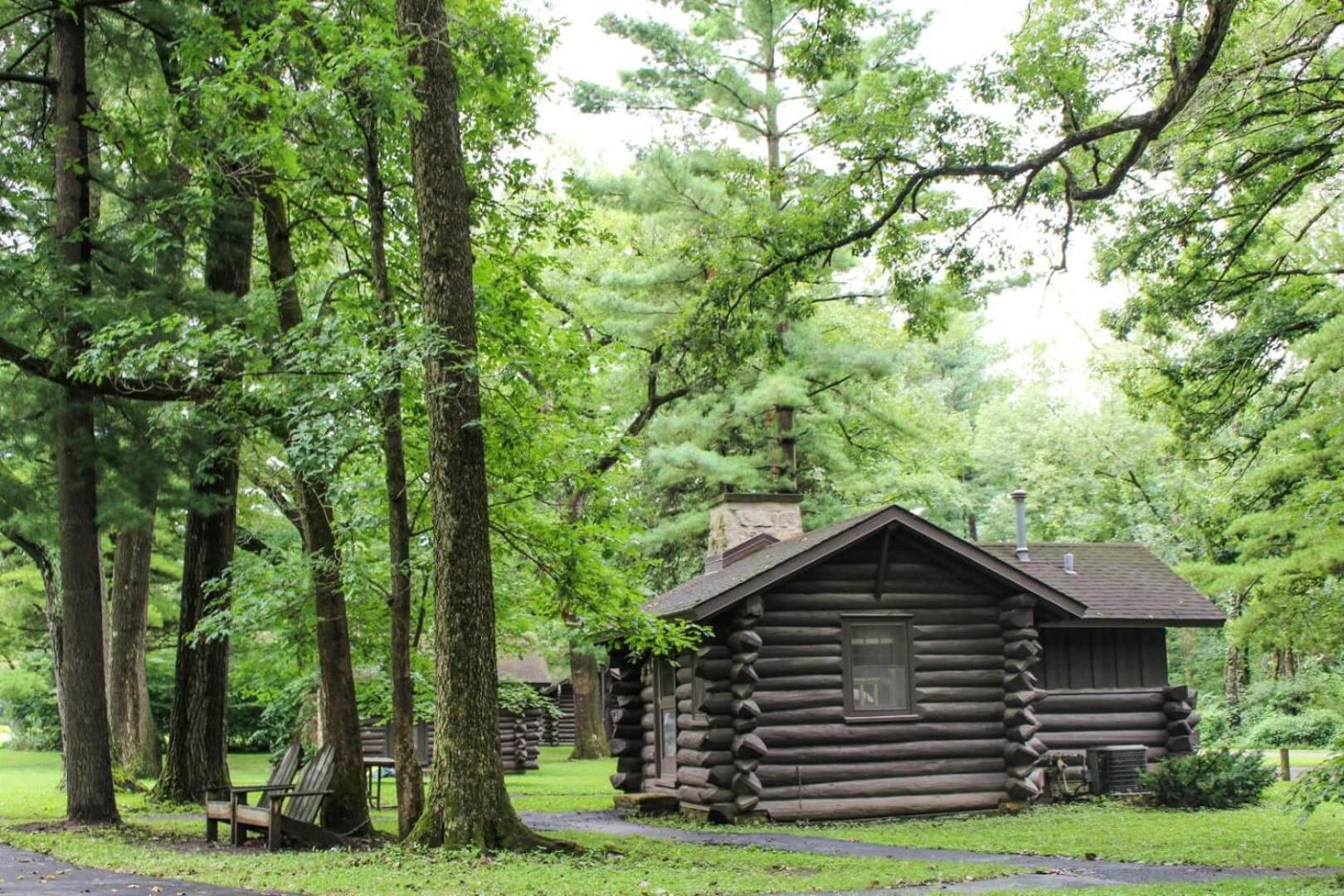 White Pines Lodge photo 4