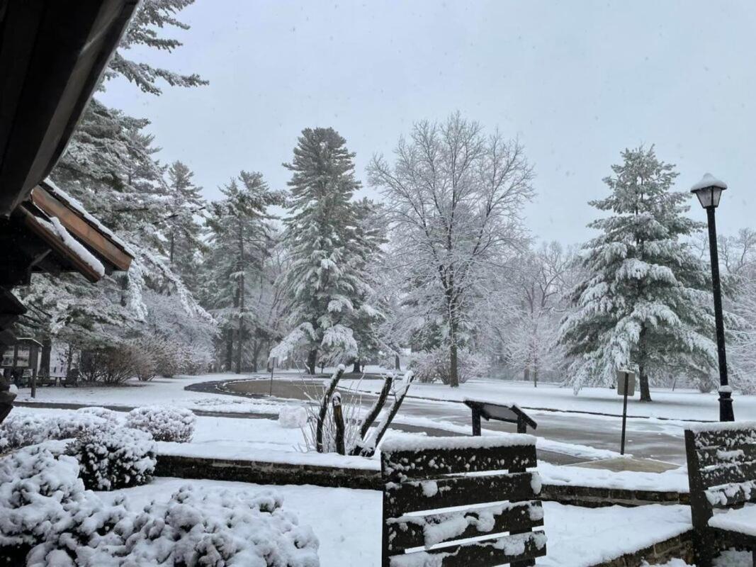 White Pines Lodge photo 2