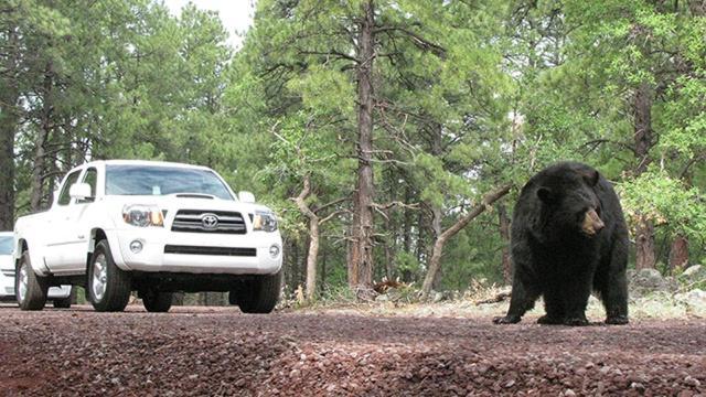 Star Route 66 Grand Canyon photo 43