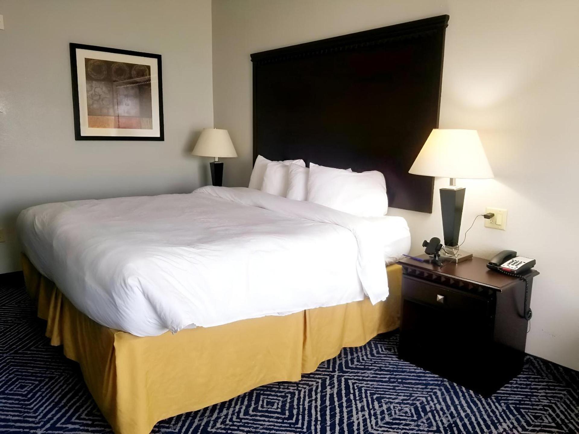 Comfort Inn & Suites Dallas Medical-Market Center photo 33