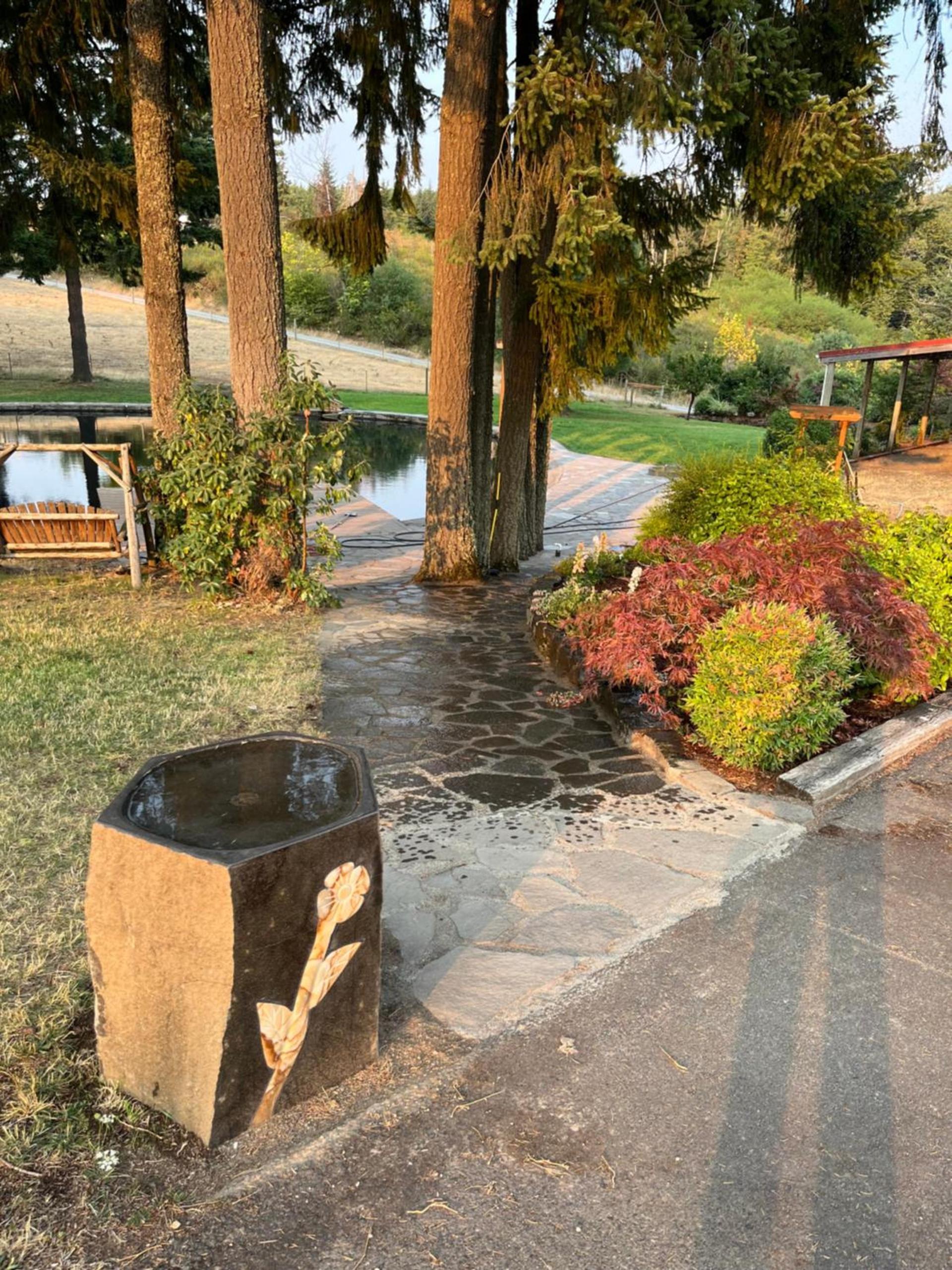 Collins Pond and Lodge photo 9