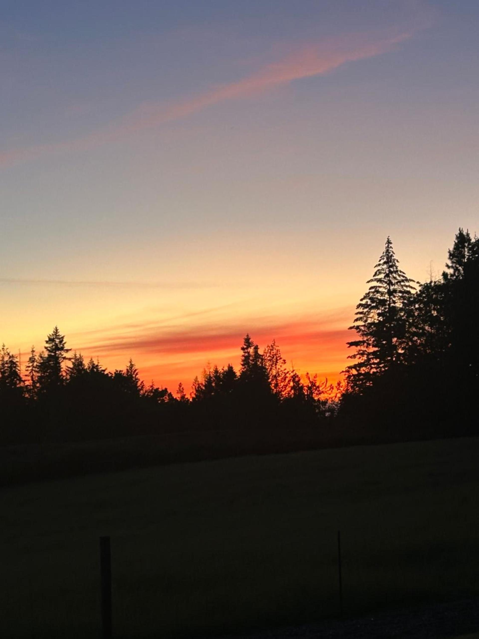 Collins Pond and Lodge photo 10