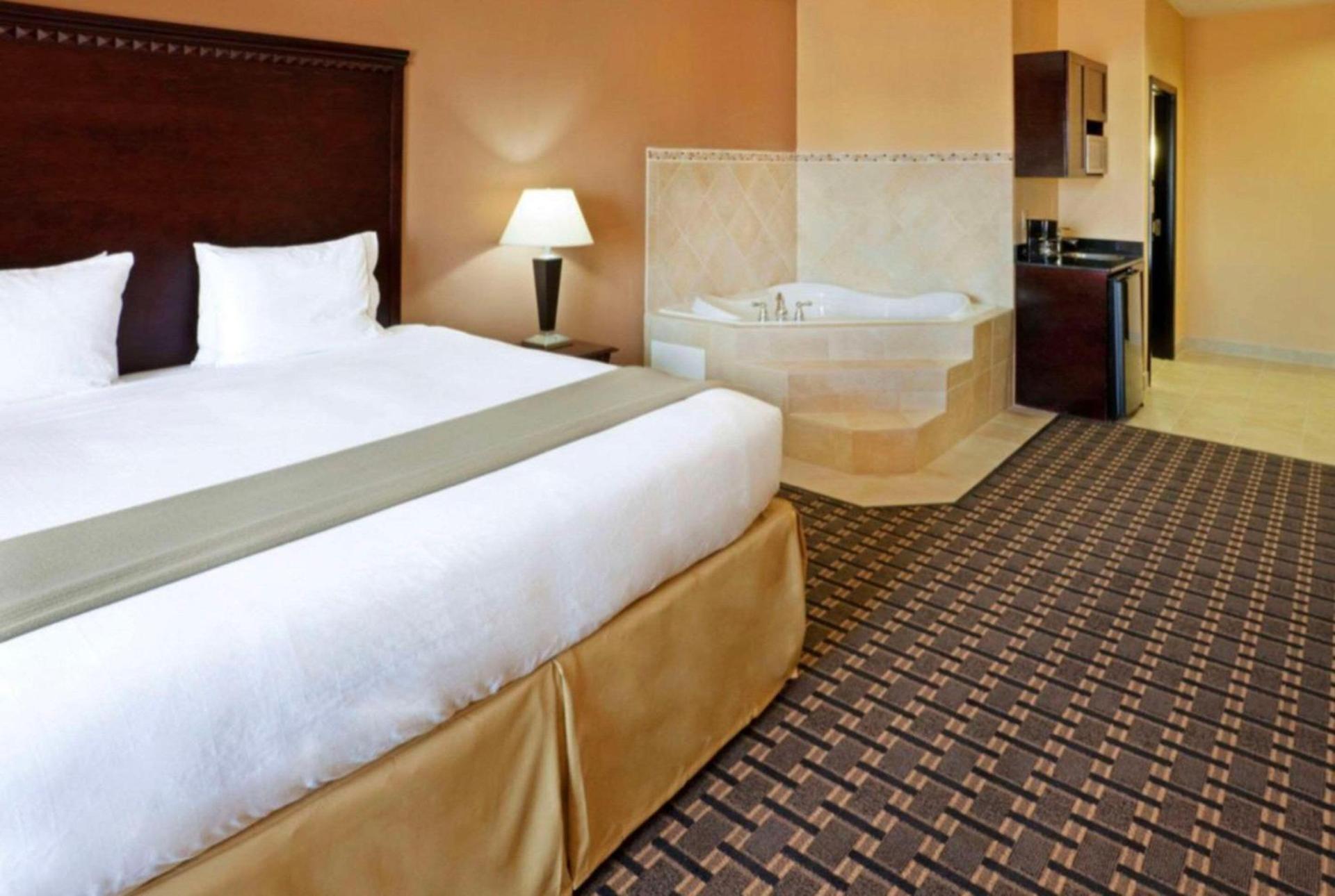 Comfort Inn & Suites Dallas Medical-Market Center photo 13