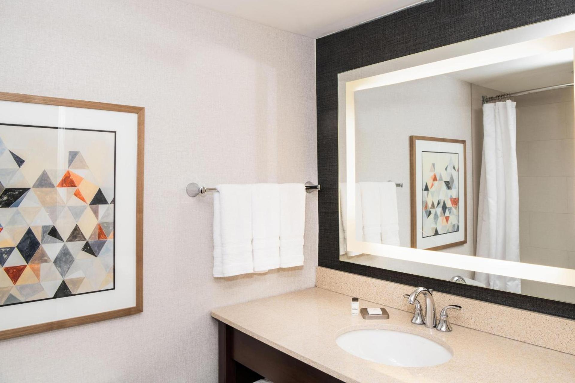 Sheraton Ann Arbor Hotel photo 24