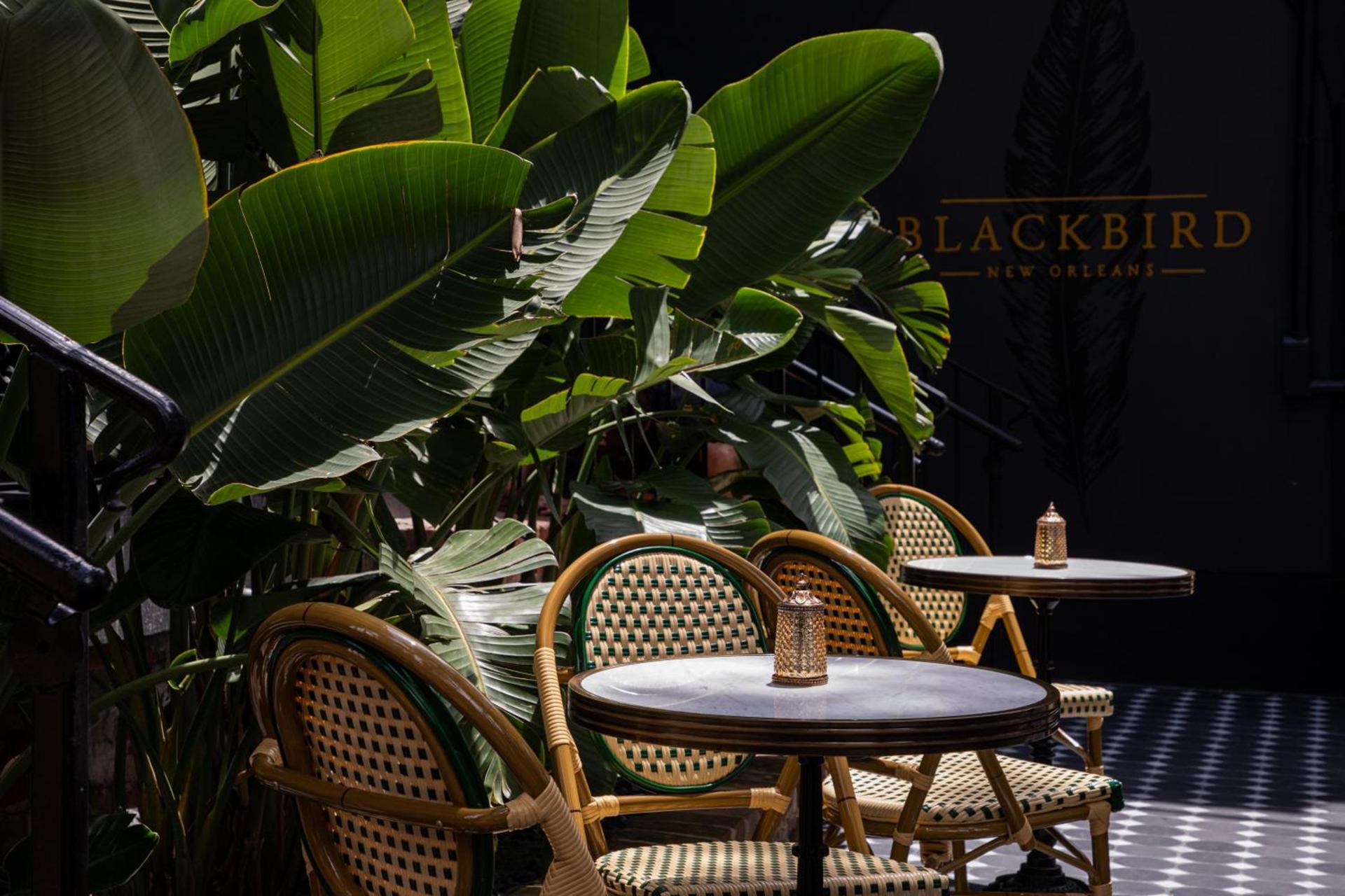 Blackbird Hotel photo 2