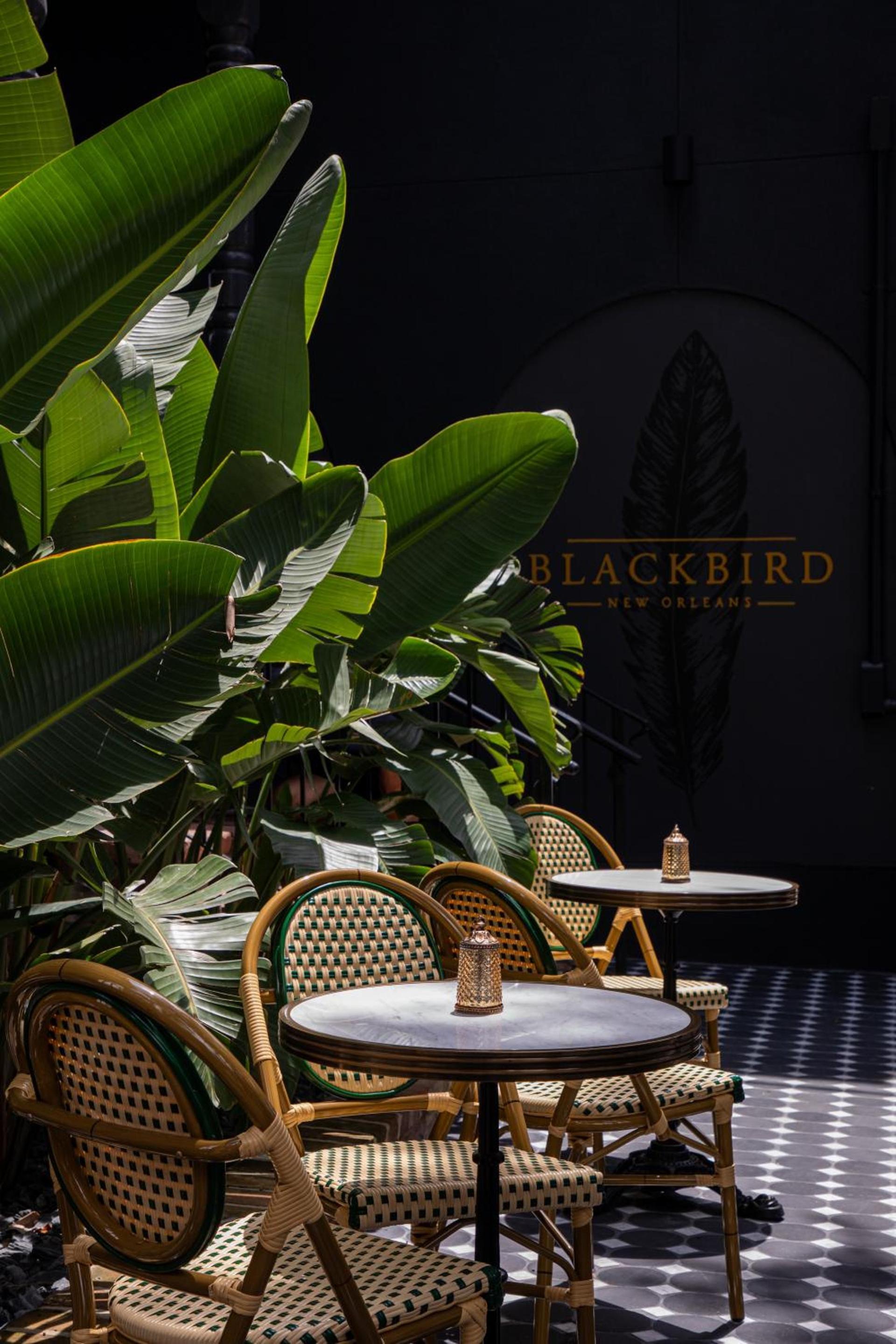 Blackbird Hotel photo 71