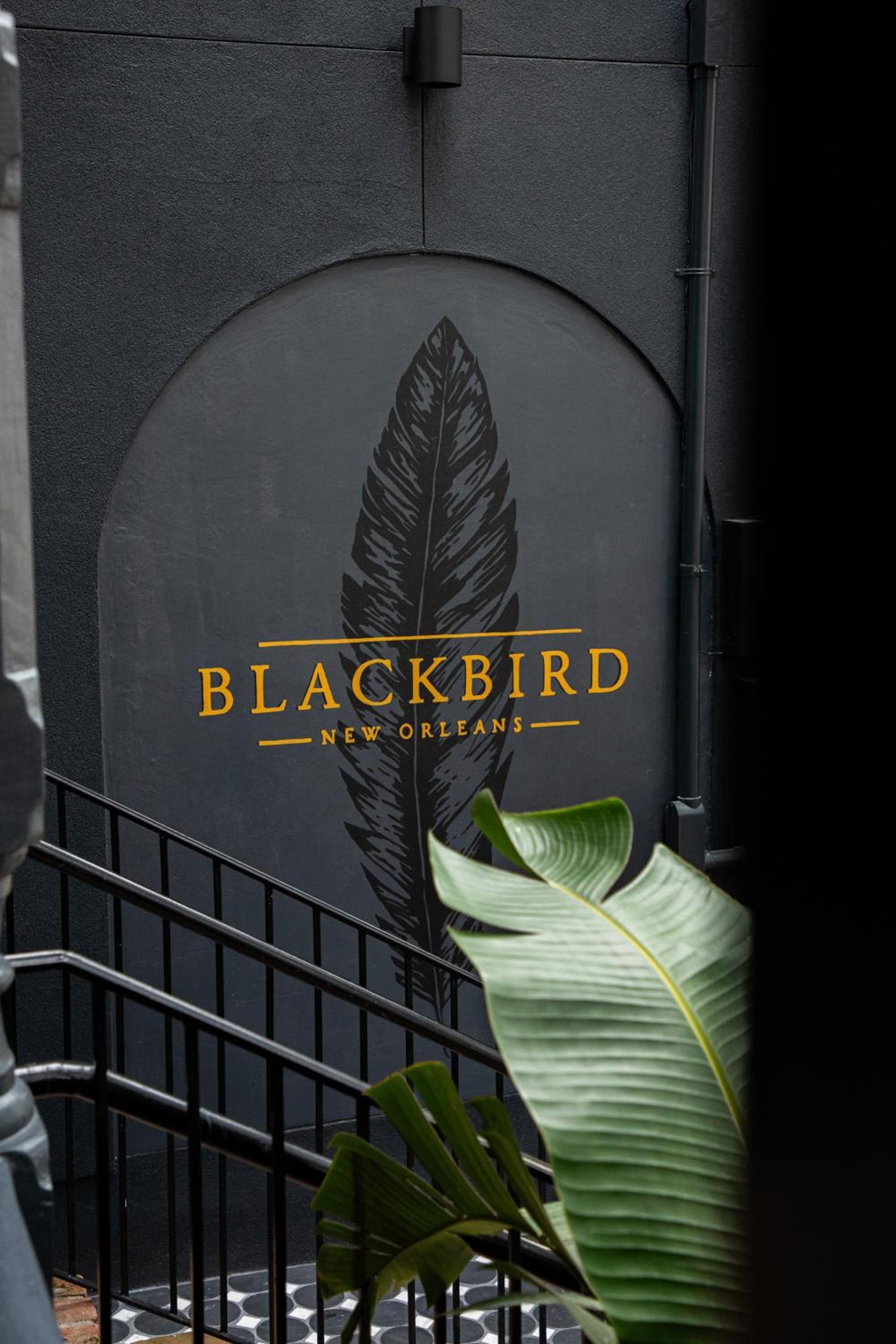 Blackbird Hotel photo 74