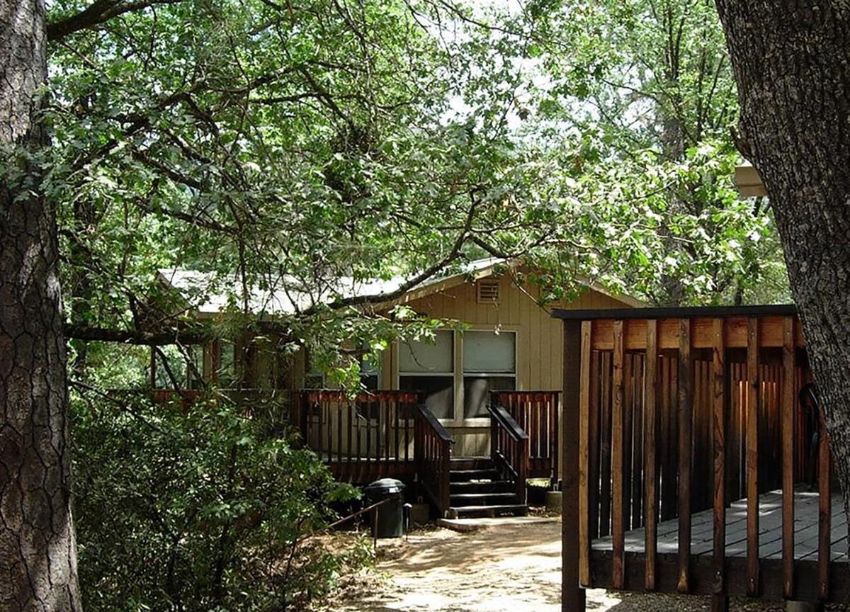 Yosemite Bug Rustic Mountain Resort photo 70