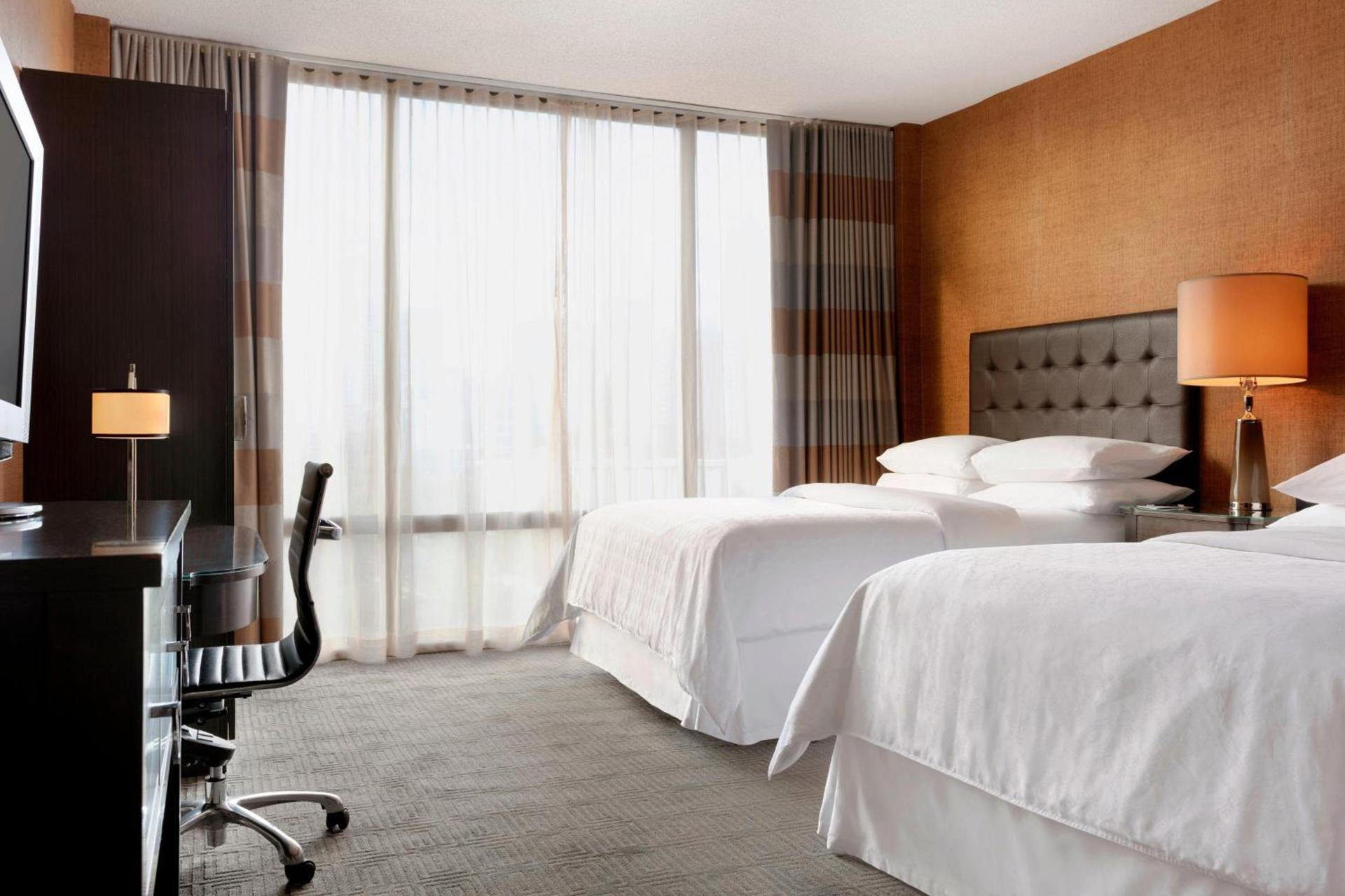 Sheraton Charlotte Hotel photo 8