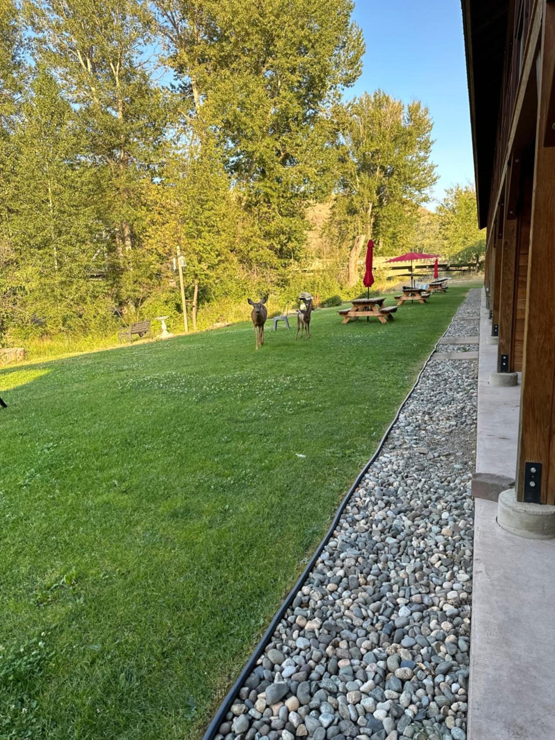 Methow River Lodge and Cabins photo 7