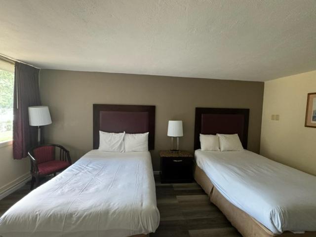 Town Inn photo 24