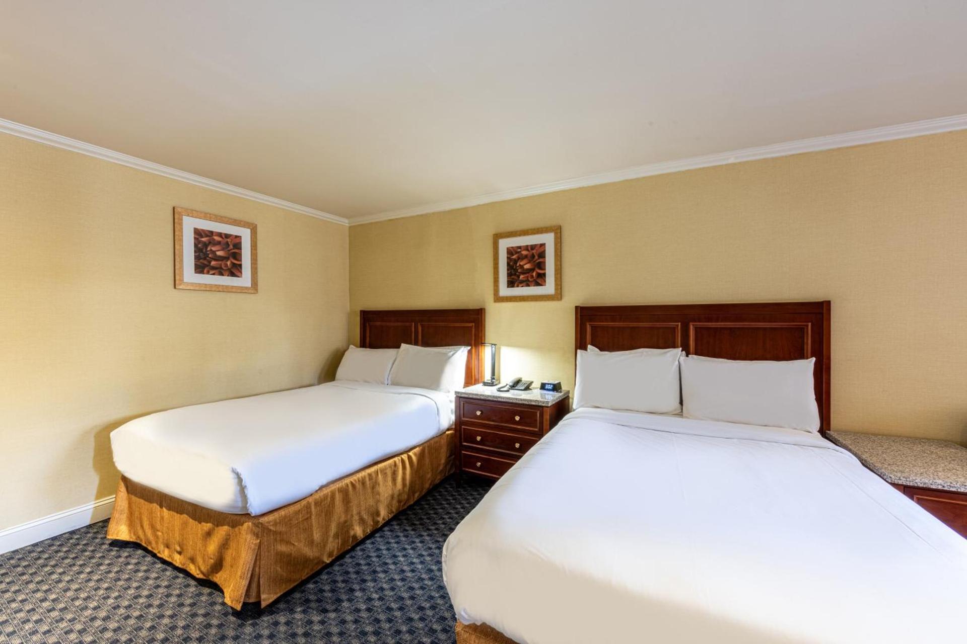 Hotel Stanford photo 35