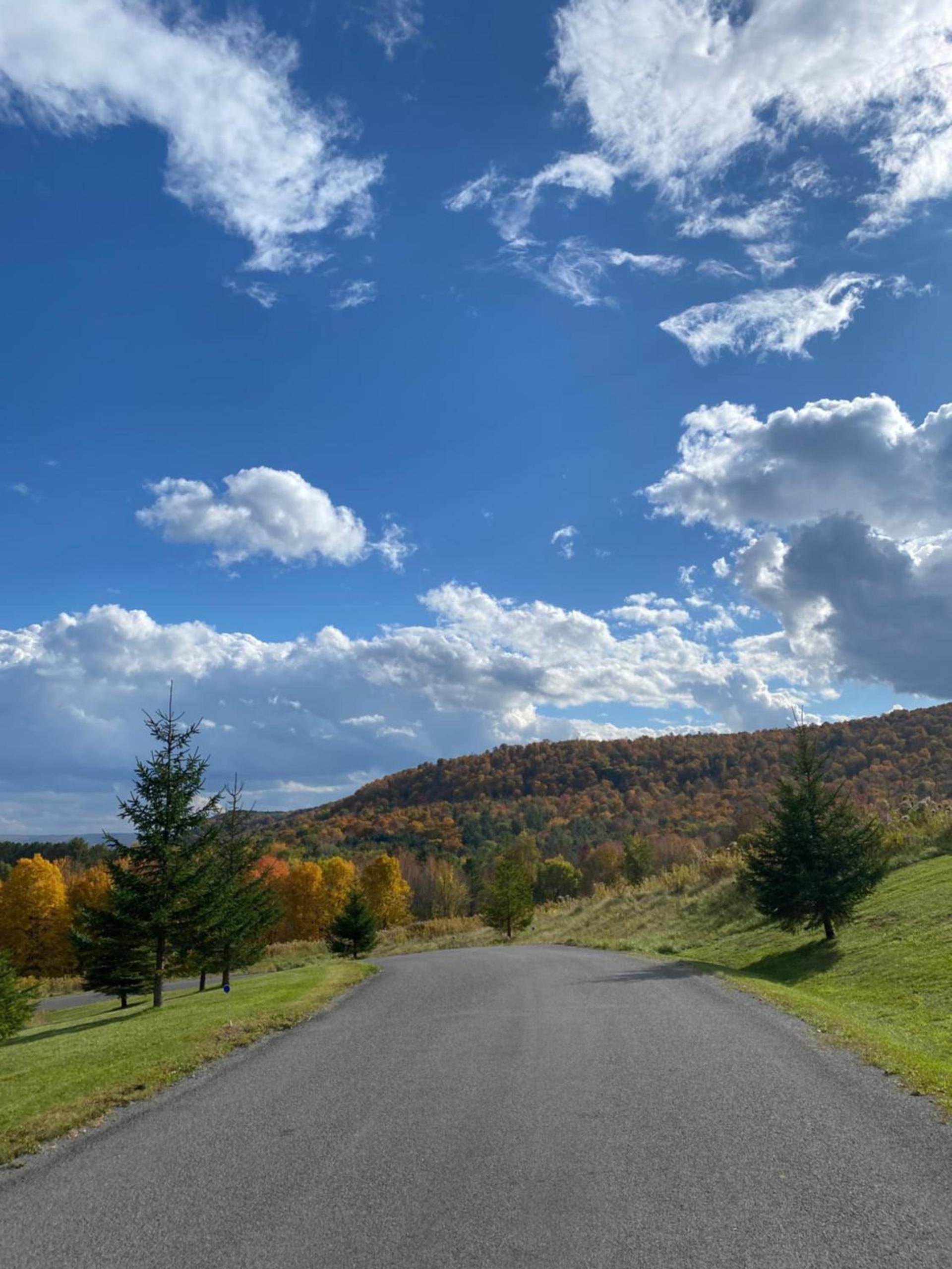 August Lodge Cooperstown photo 9