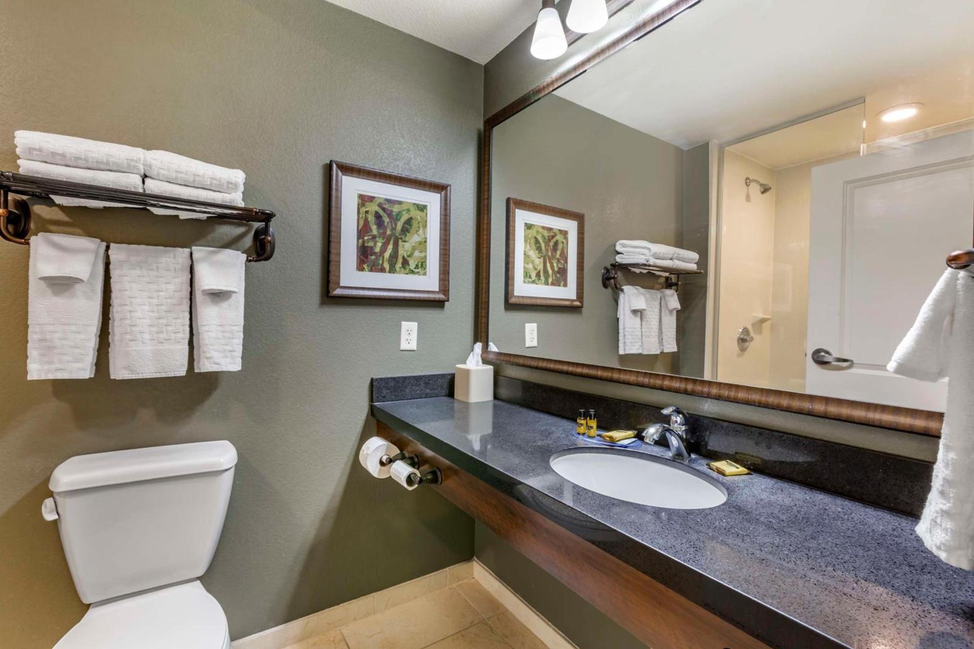 Best Western Plus Chandler Hotel & Suites photo 24
