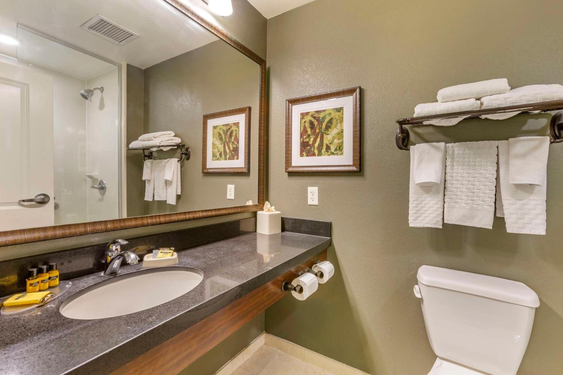 Best Western Plus Chandler Hotel & Suites photo 32