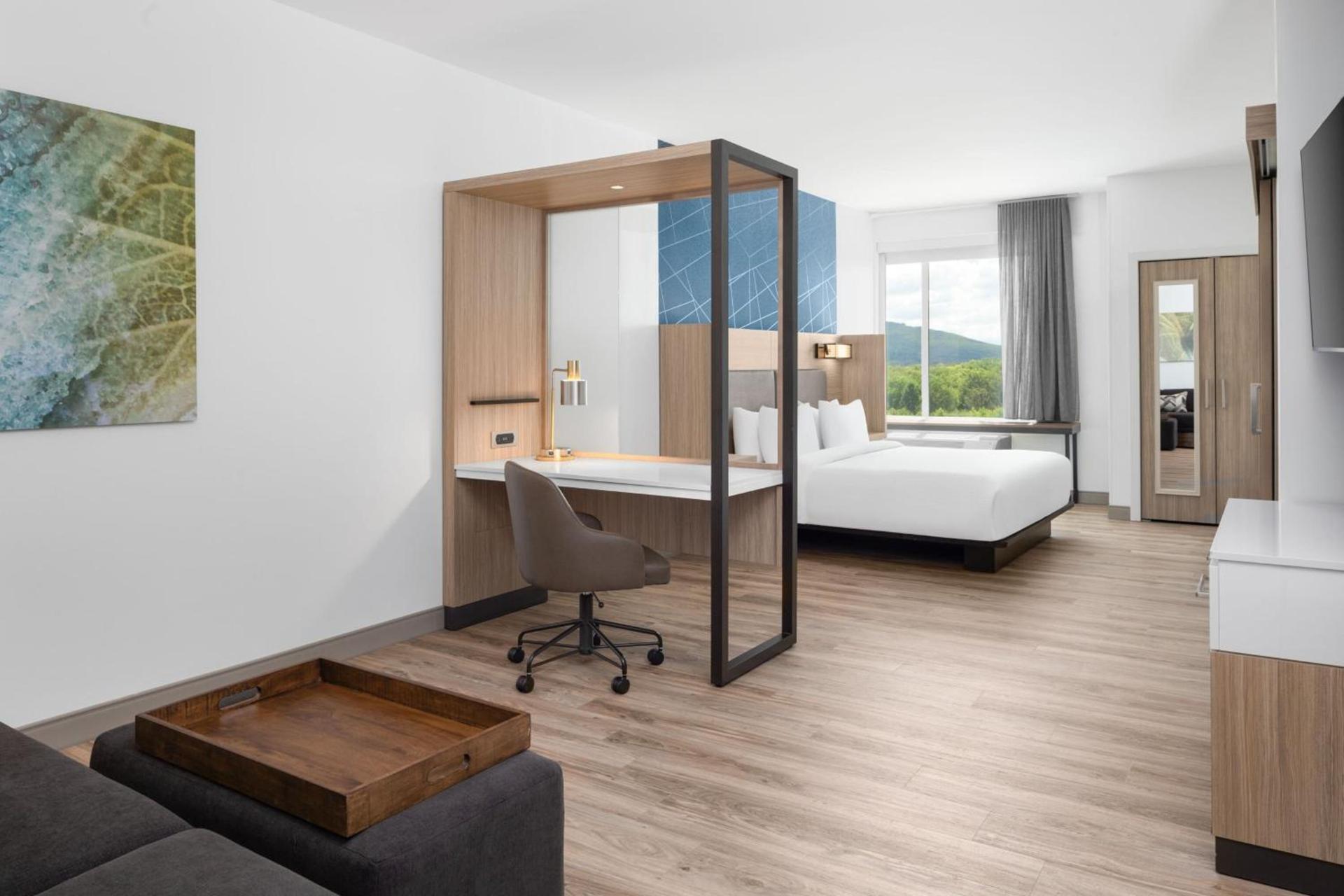 SpringHill Suites by Marriott Roanoke North photo 28