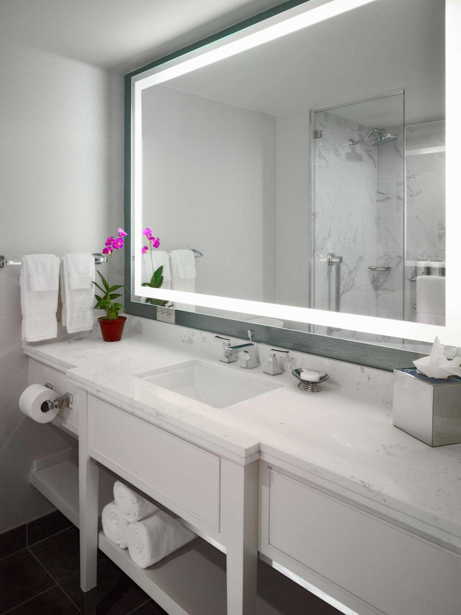 The Royal Sonesta New Orleans photo 31