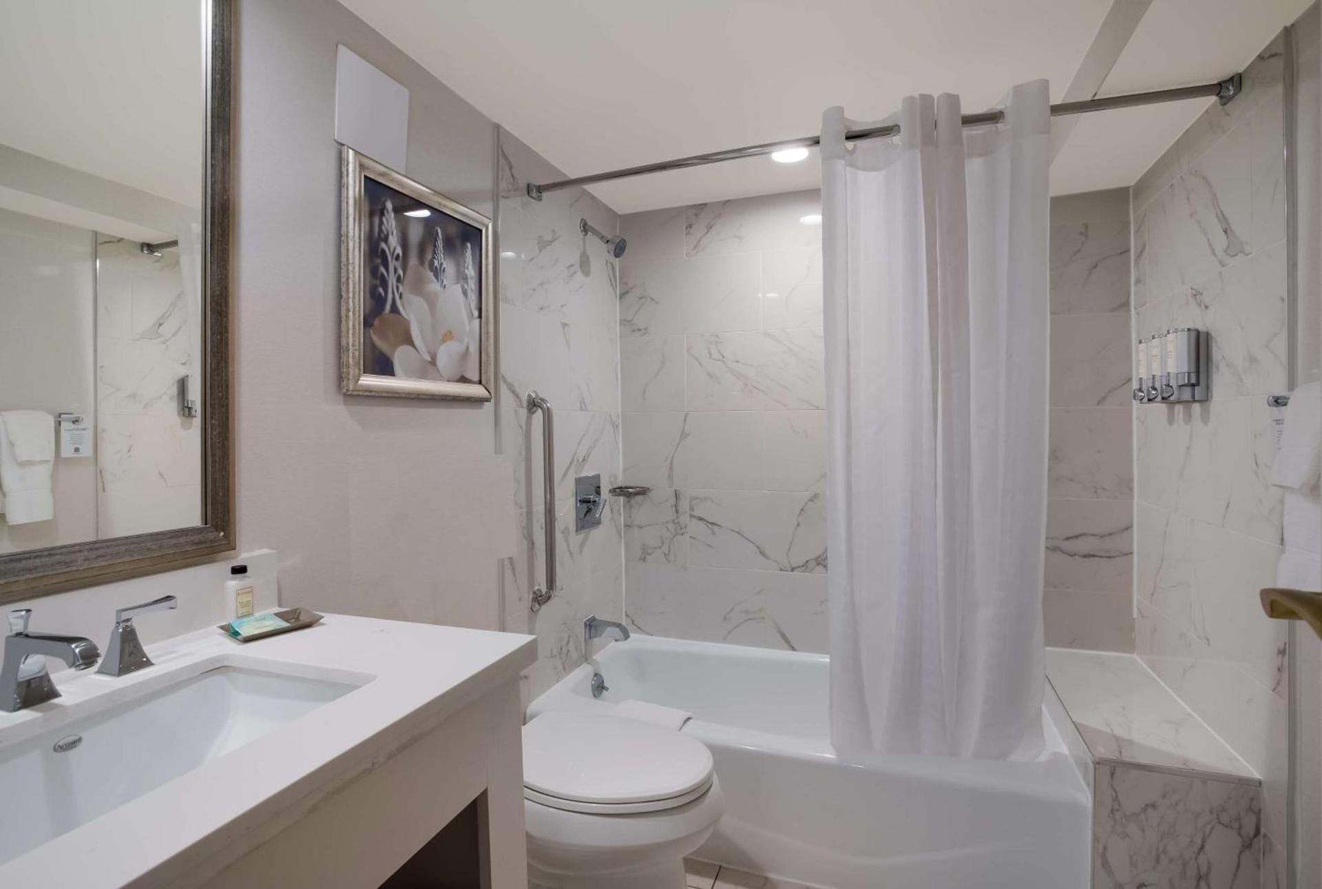 The Royal Sonesta New Orleans photo 74