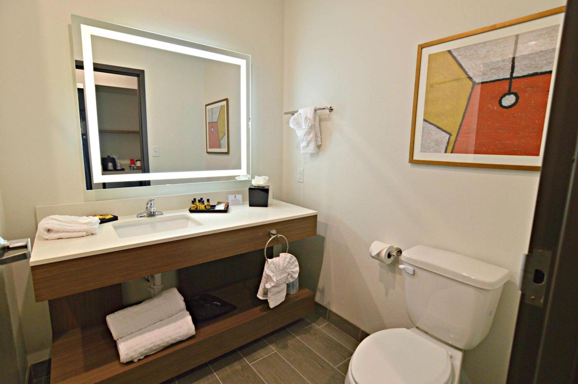 Wingate by Wyndham Austin North - Round Rock photo 26