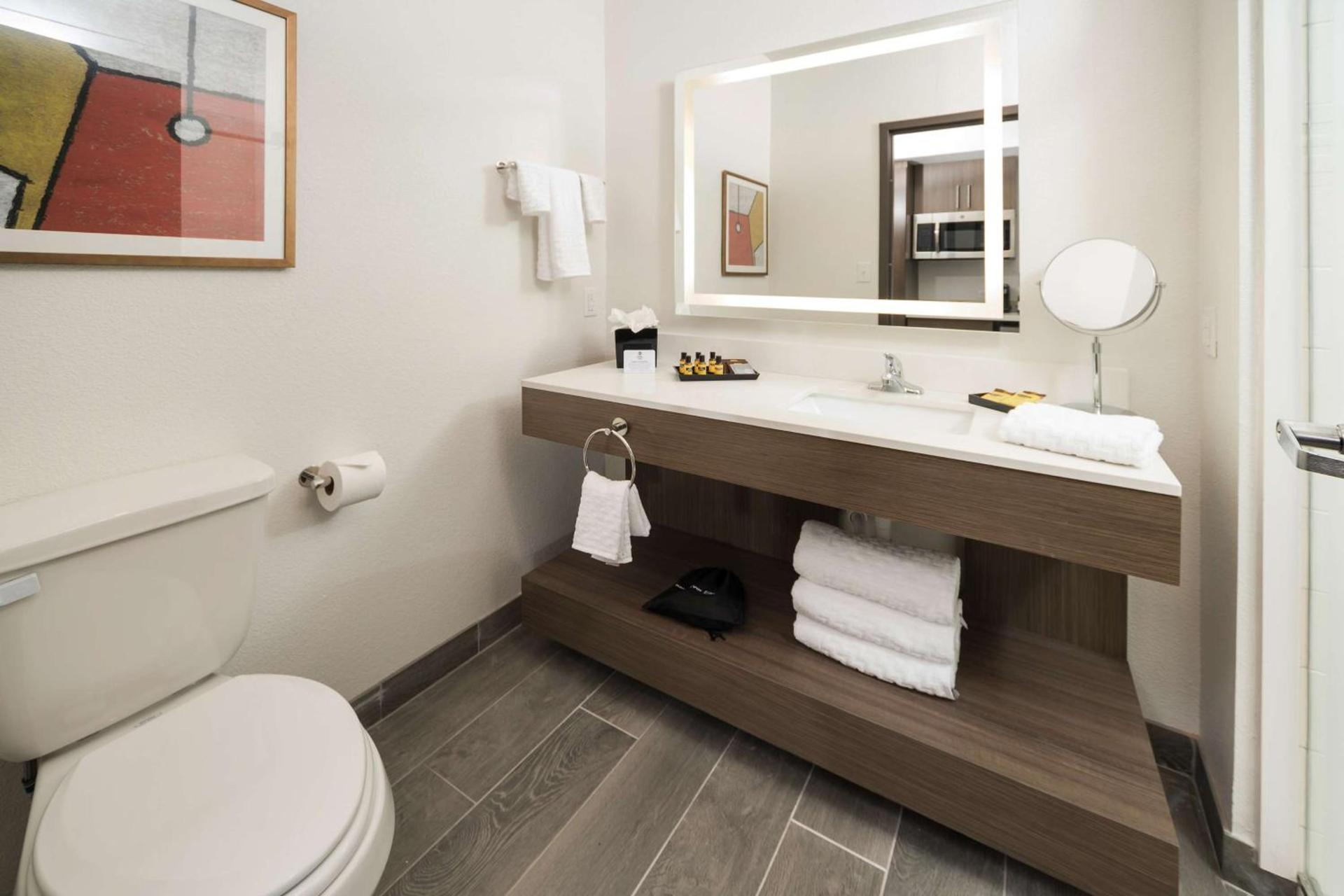 Wingate by Wyndham Austin North - Round Rock photo 29