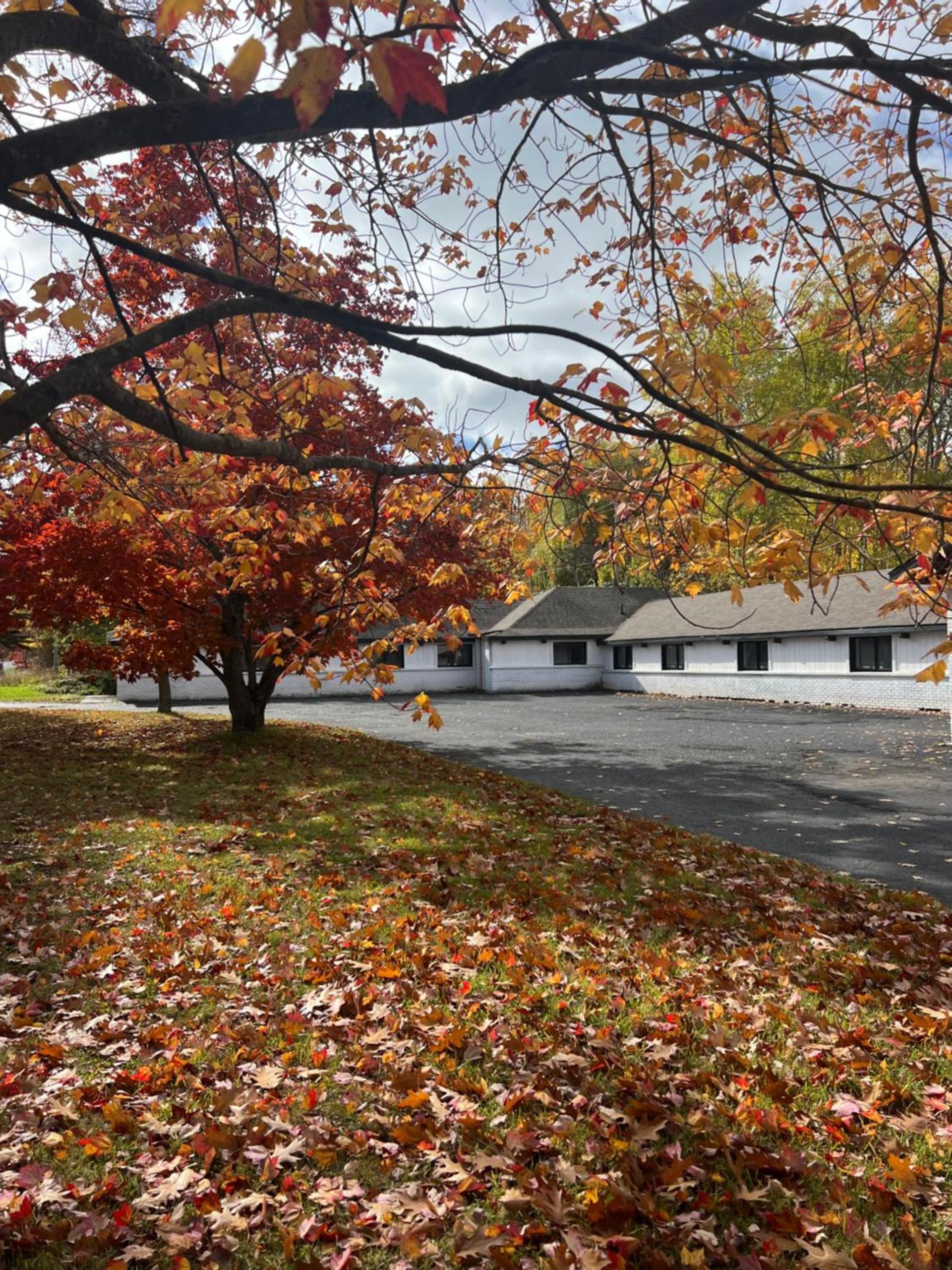 LakeHouse Inn photo 4