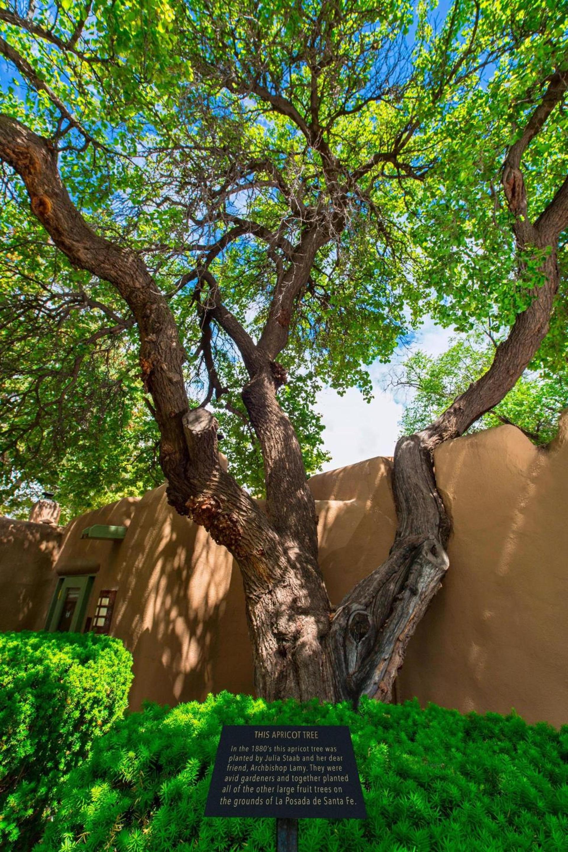 La Posada De Santa Fe, a Tribute Portfolio Resort & Spa photo 88