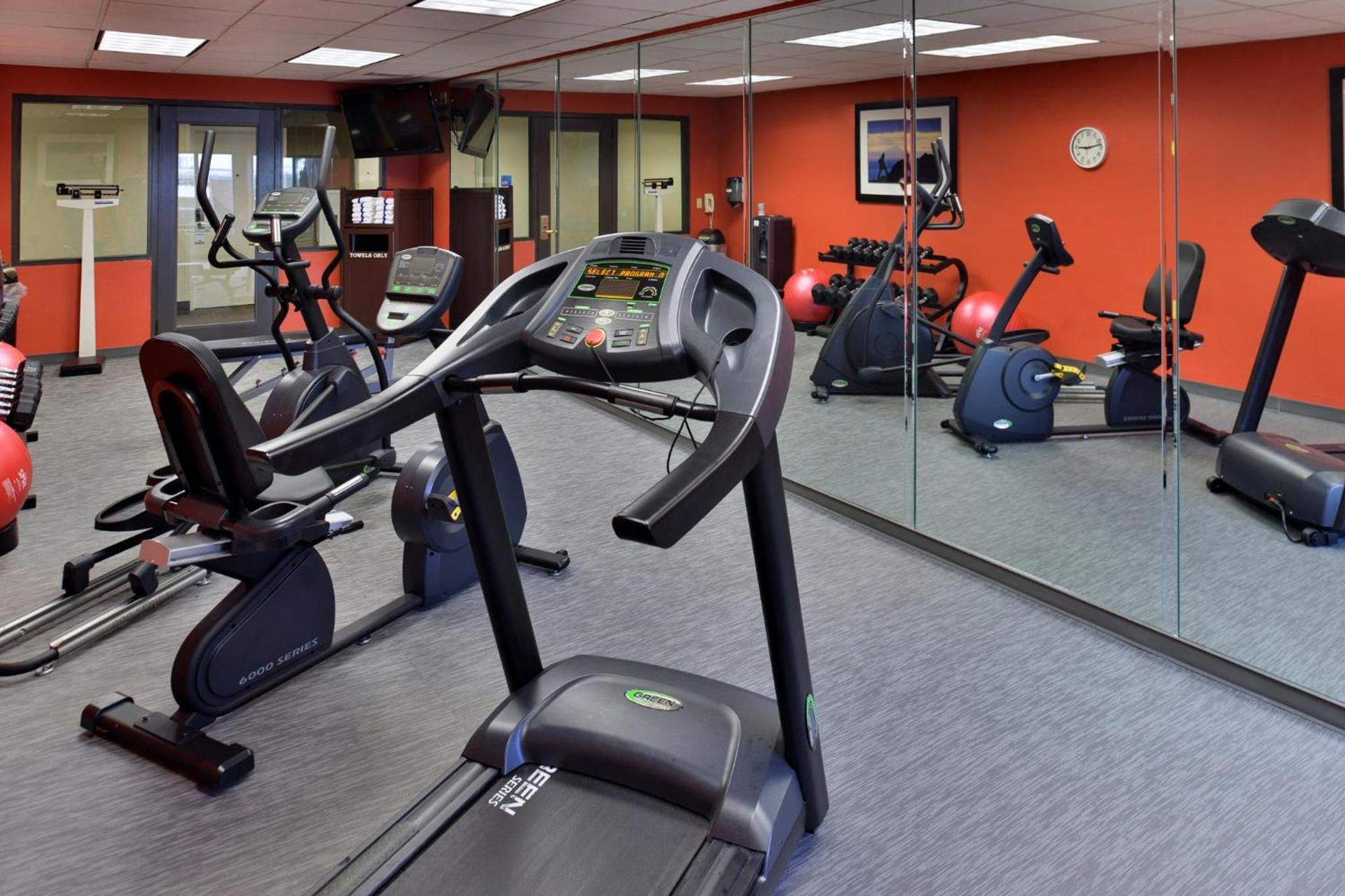 Holiday Inn Express Hotel & Suites Tampa-Rocky Point Island by IHG photo 3