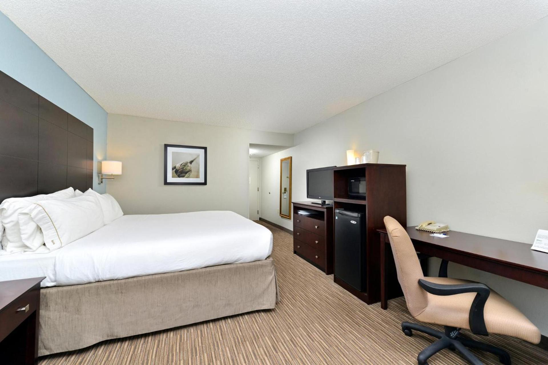 Holiday Inn Express Hotel & Suites Tampa-Rocky Point Island by IHG photo 11