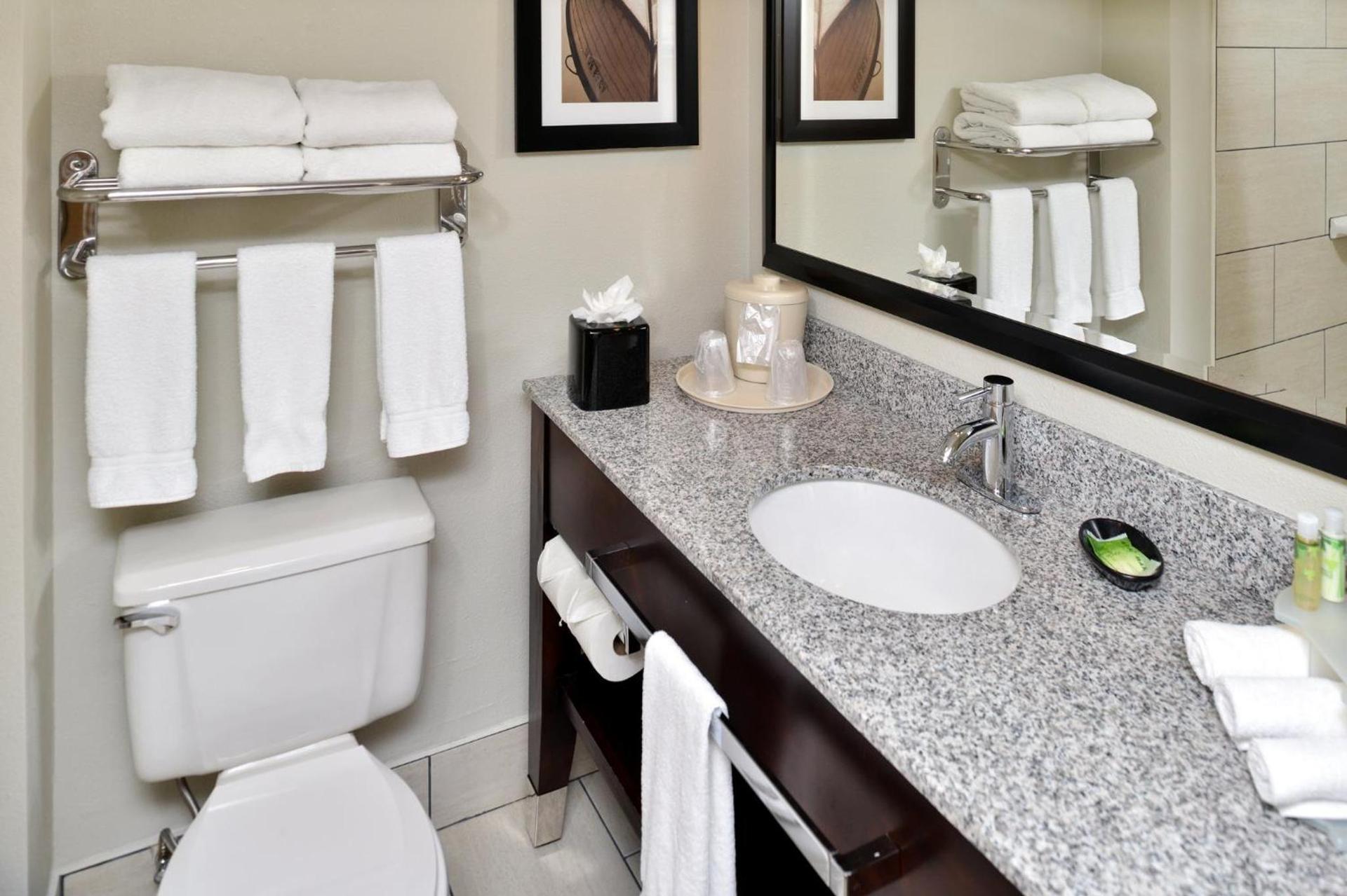 Holiday Inn Express Hotel & Suites Tampa-Rocky Point Island by IHG photo 10