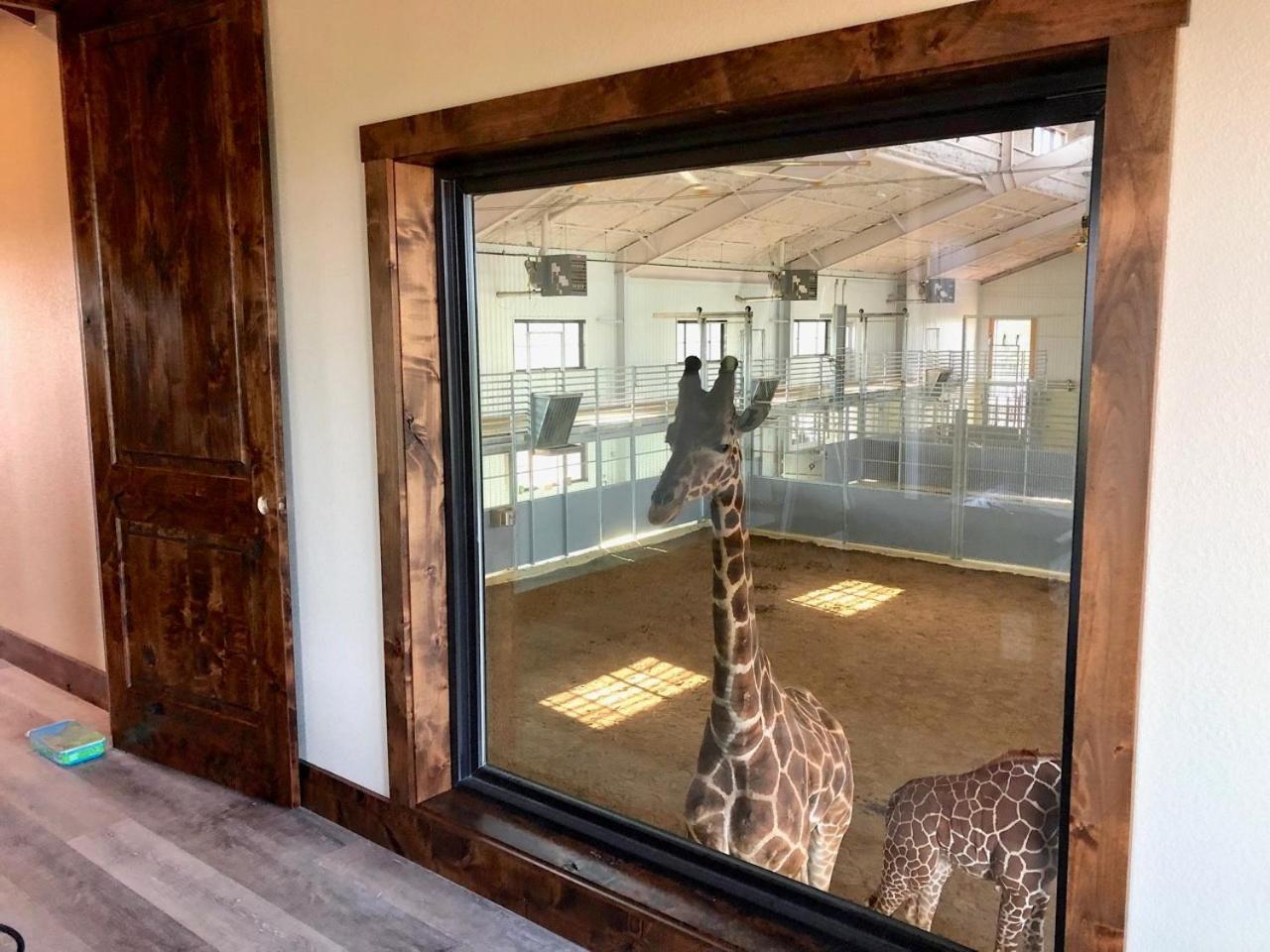Longneck Manor photo 26
