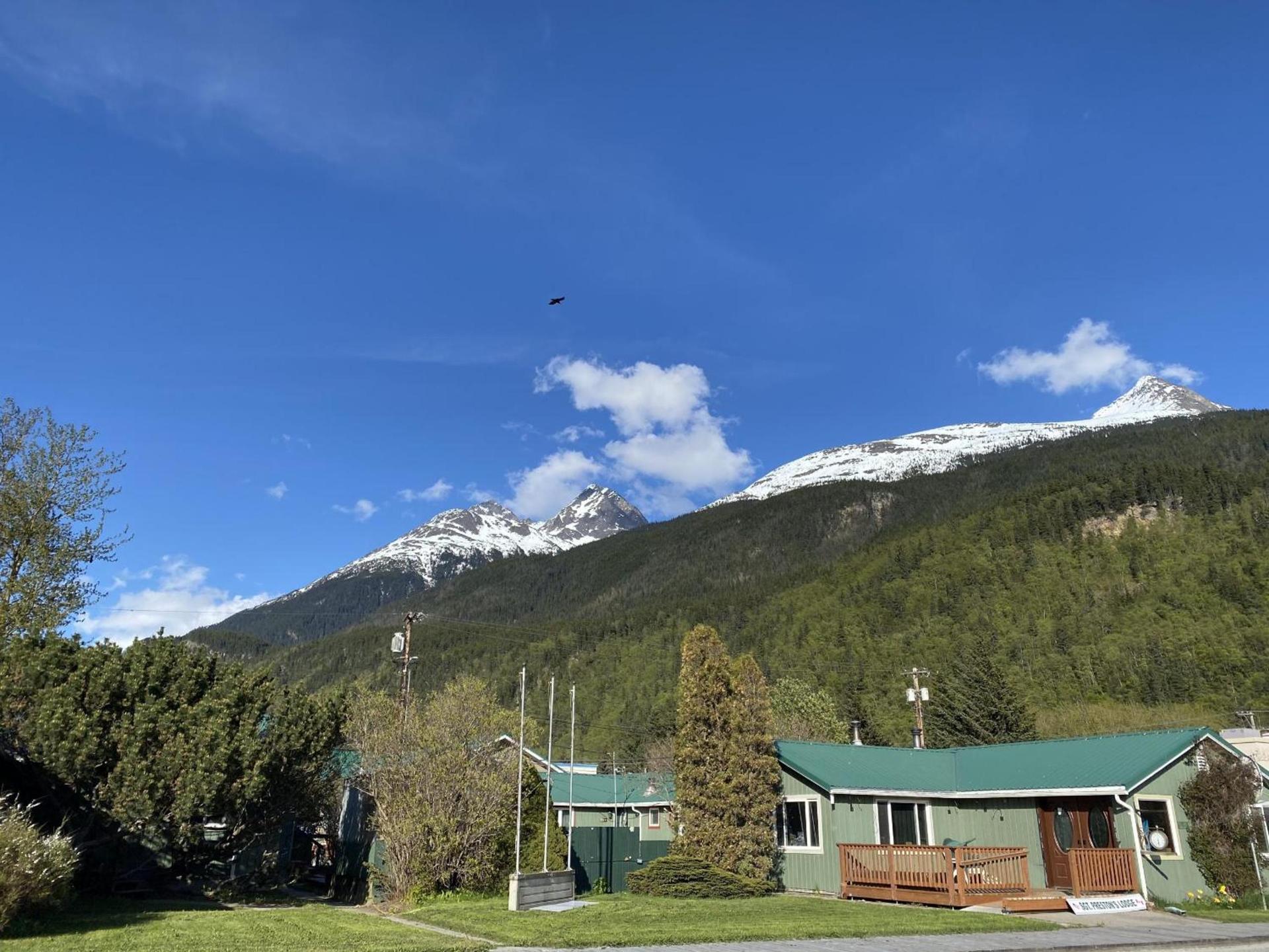 Sgt Prestons Lodge photo 13