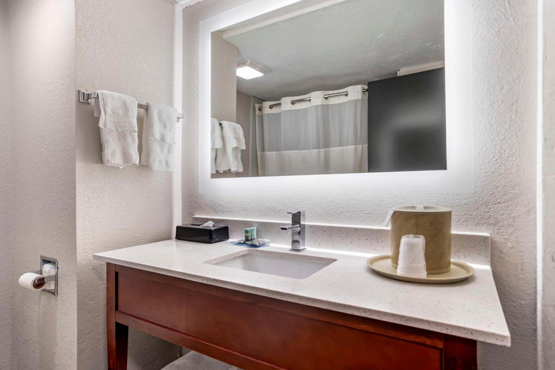 Best Western Canton Inn photo 23