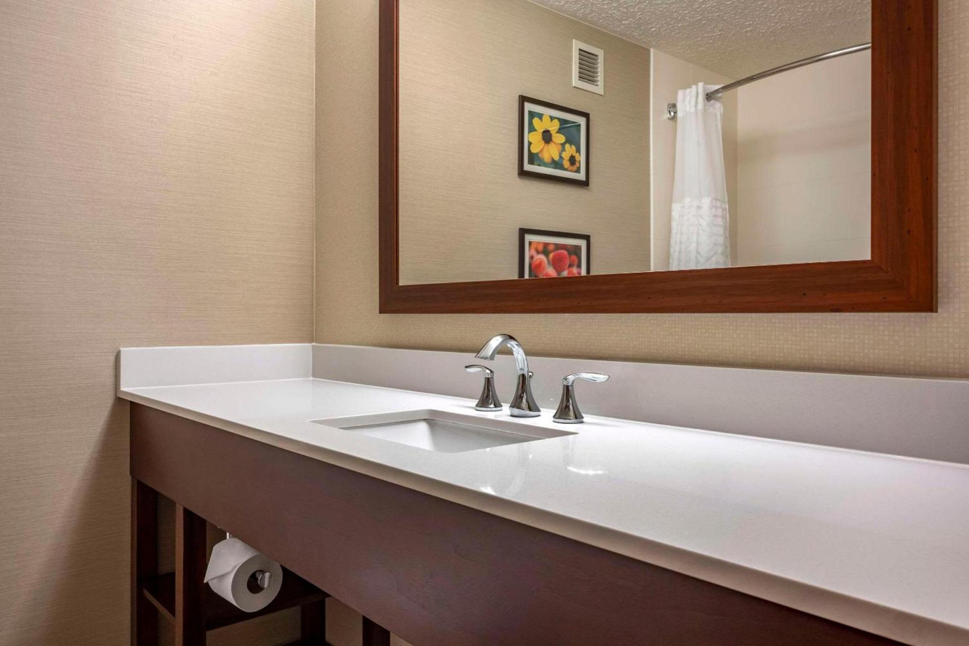 Comfort Suites State College near Penn State - Steps Away from PSU! photo 9