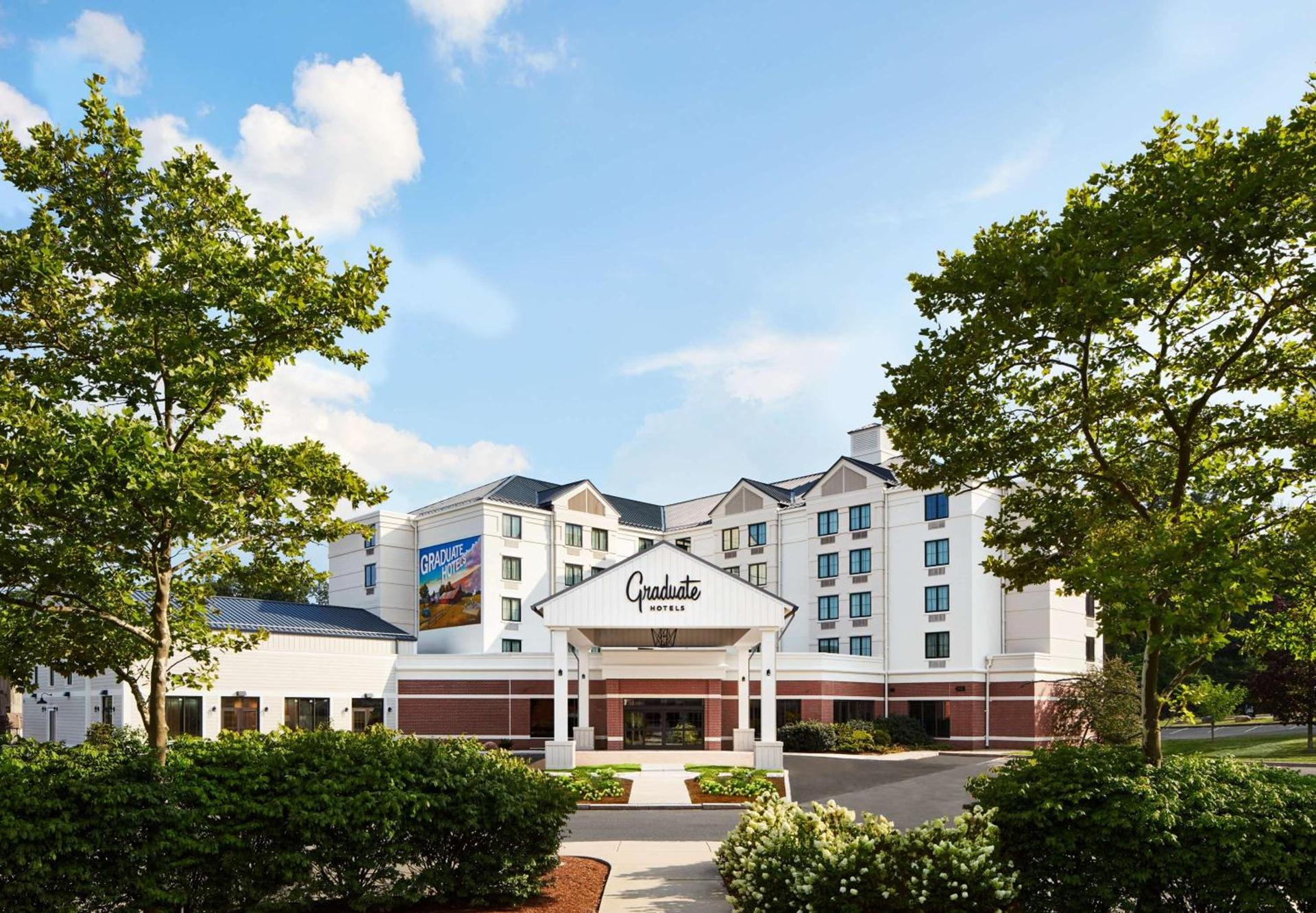Graduate by Hilton Storrs photo 1
