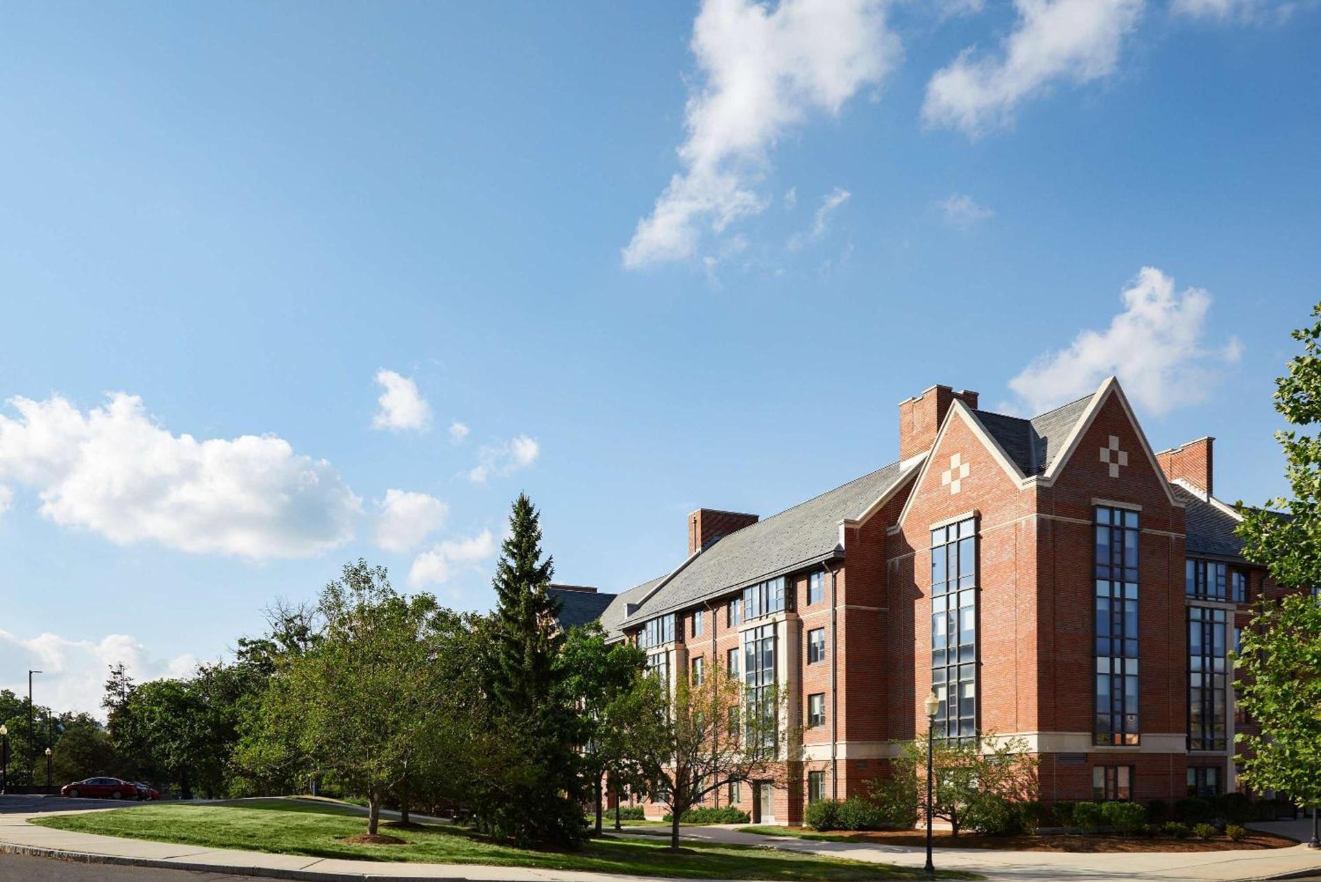 Graduate by Hilton Storrs photo 6