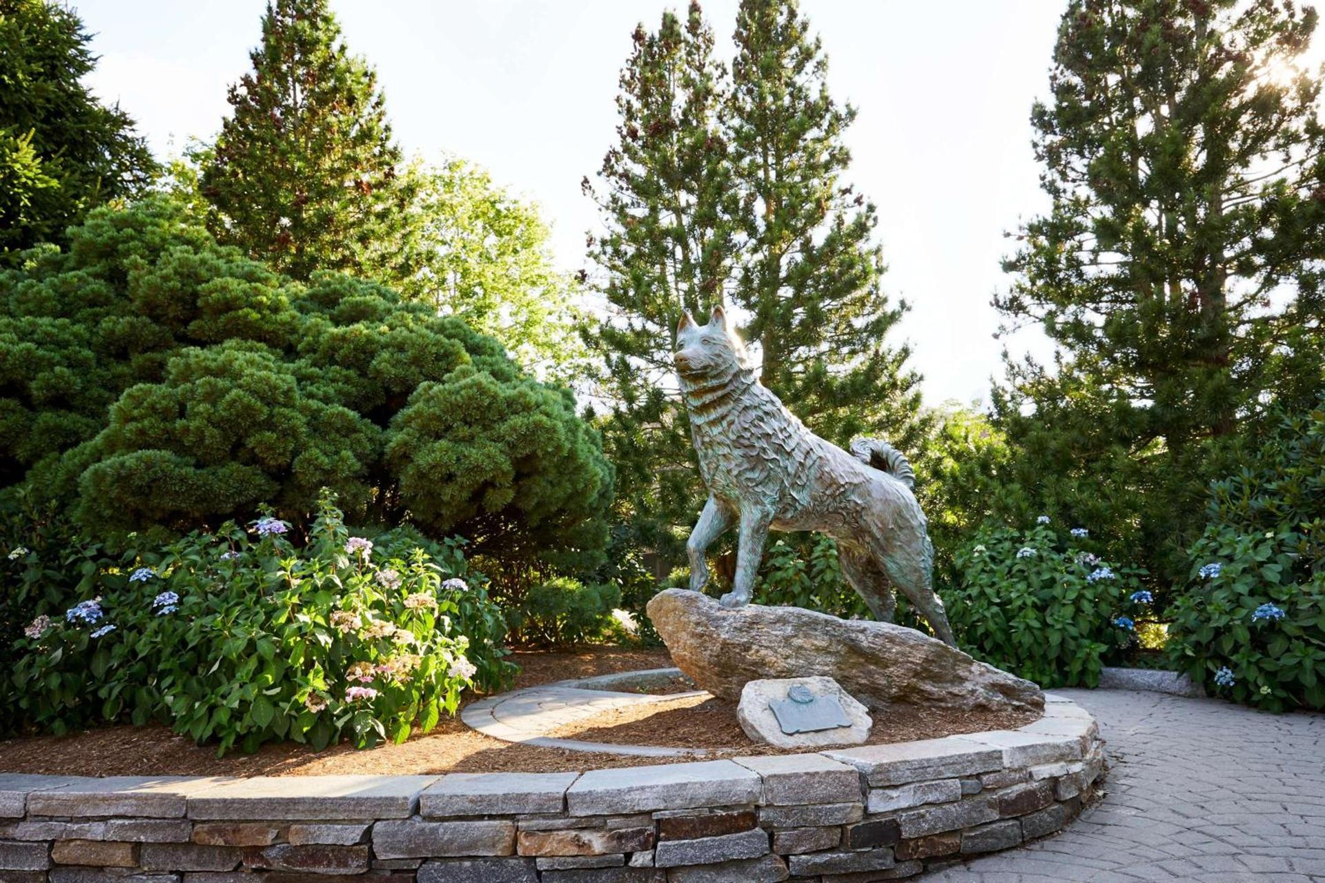 Graduate by Hilton Storrs photo 11