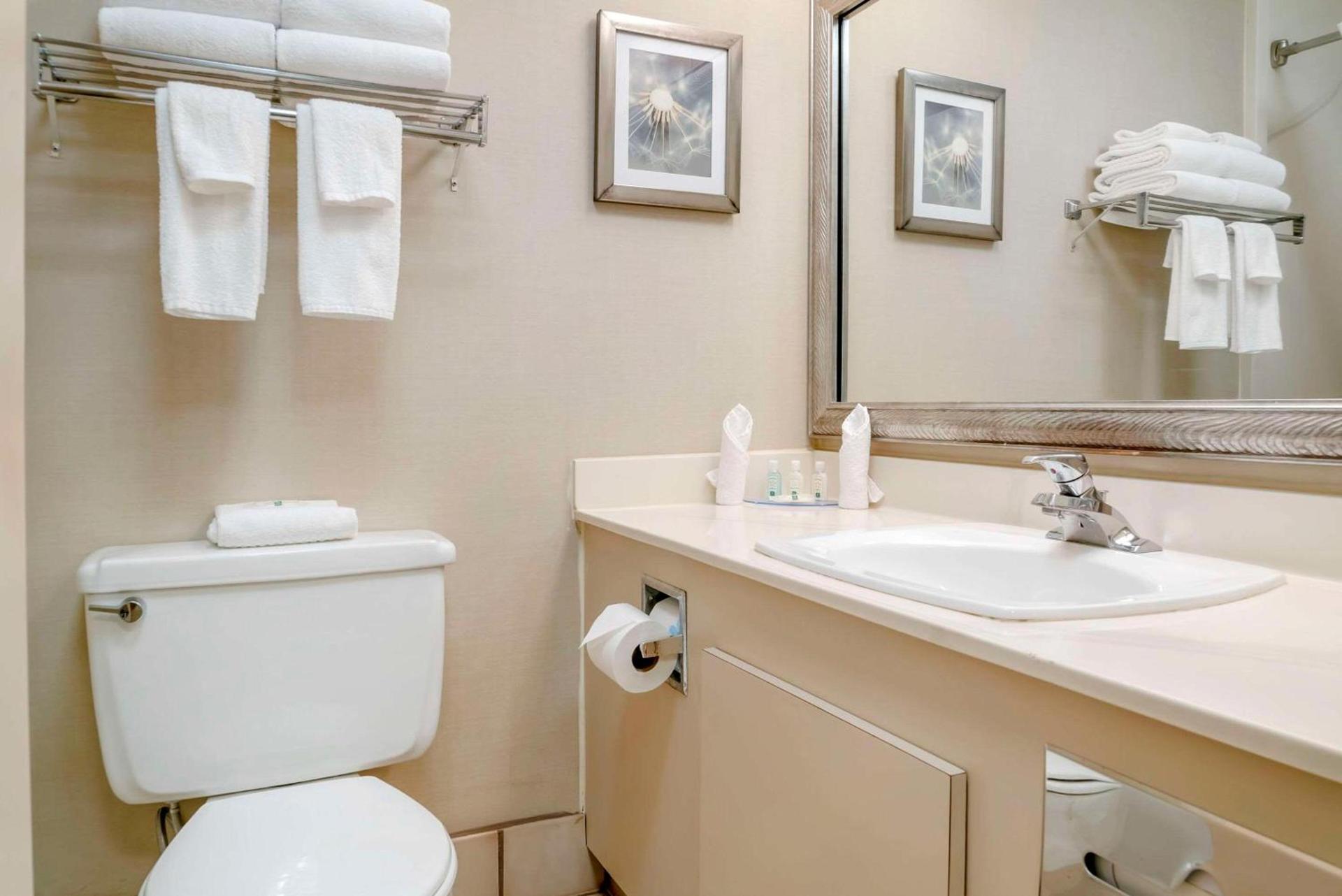 Quality Inn & Suites Monroe photo 9