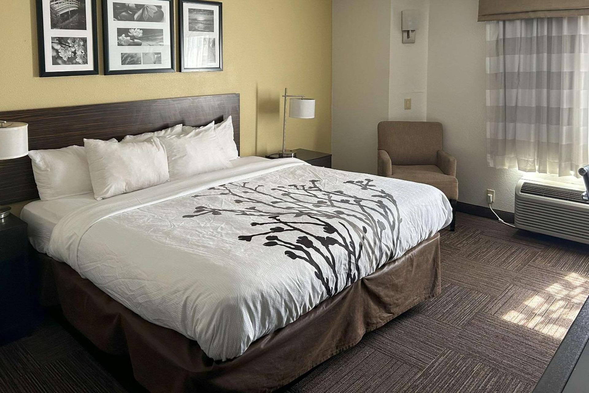 Sleep Inn Wilson near I-95 photo 28