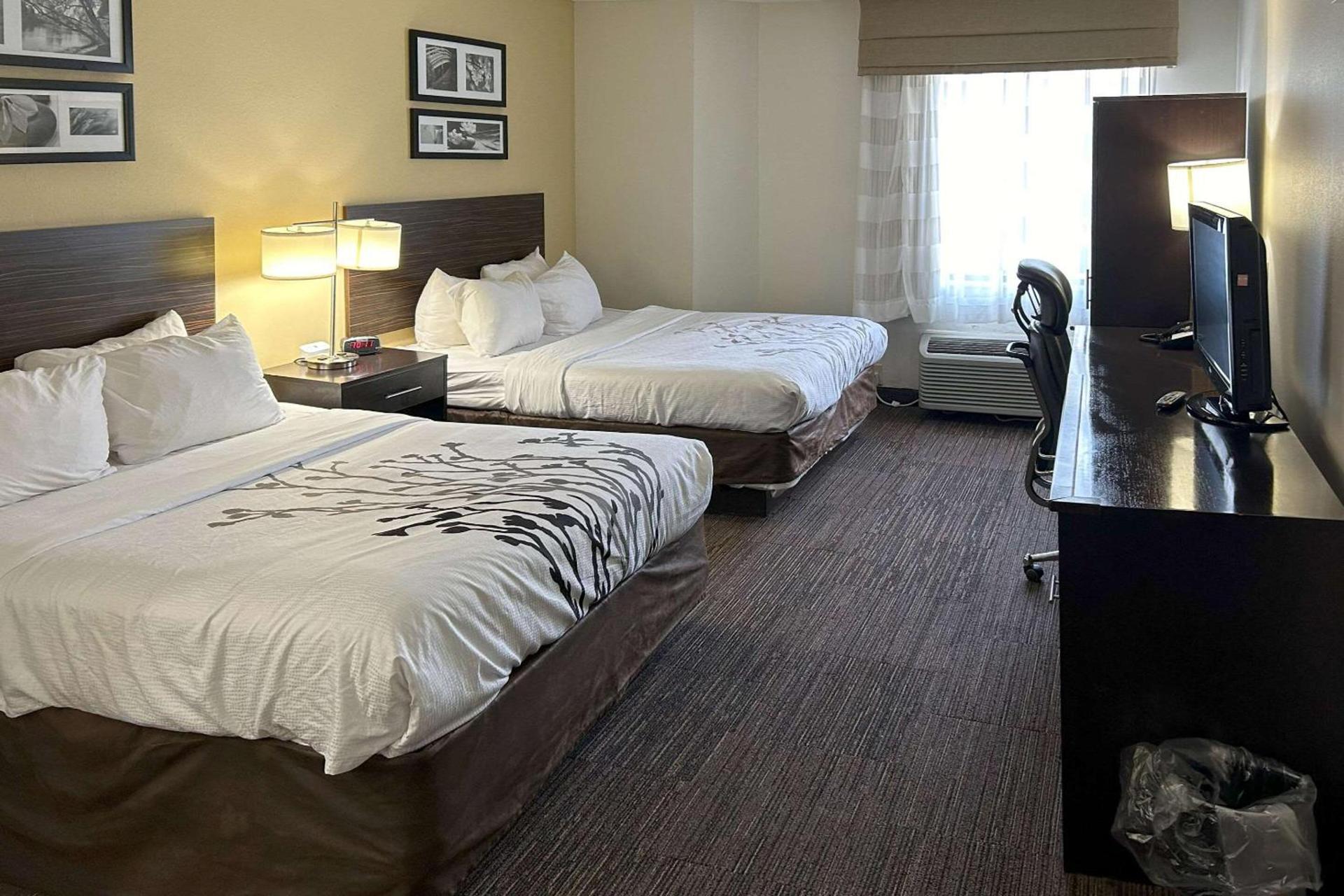 Sleep Inn Wilson near I-95 photo 10