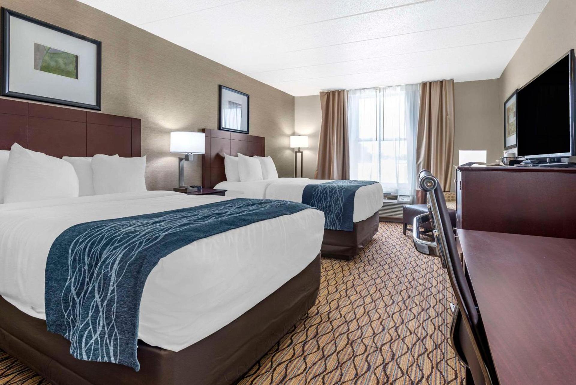 Comfort Inn & Suites Glen Mills - West Chester photo 3